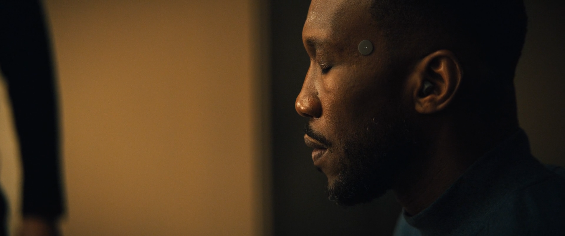 Apple Swan Song  Motion Design Director Tiago Higgs