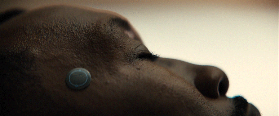 Apple Swan Song  Motion Design Director Tiago Higgs