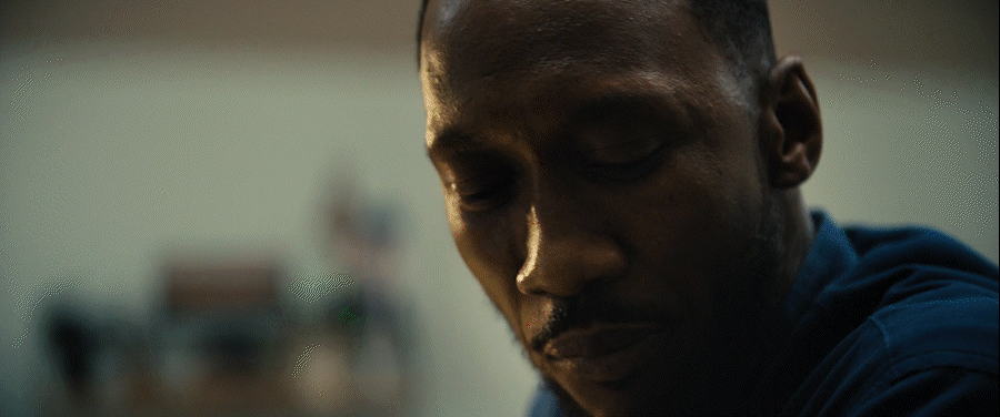 Apple Swan Song  Motion Design Director Tiago Higgs