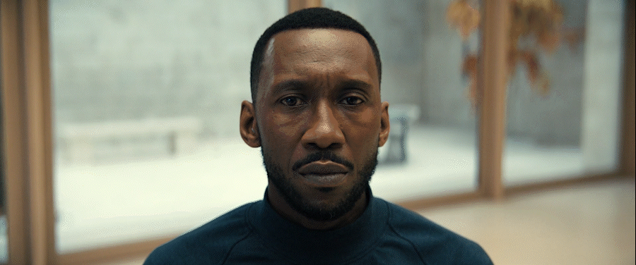 Apple Swan Song  Motion Design Director Tiago Higgs