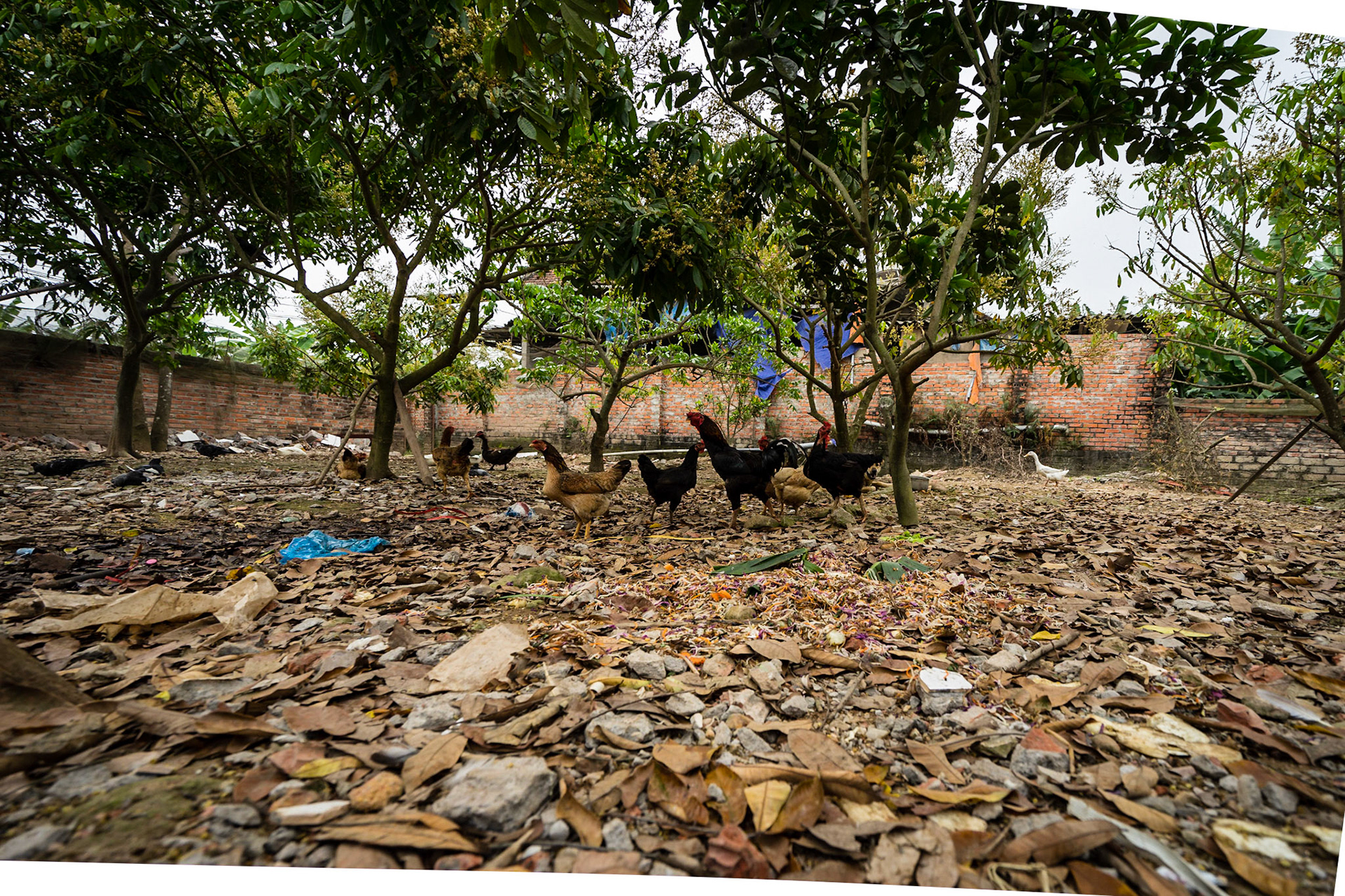 Photo by: Martin Miklas  -  www.mARTinStudio.sk