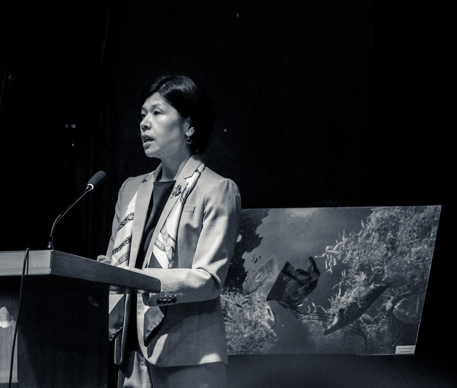 Photo by: Martin Miklas  -  www.mARTinStudio.sk