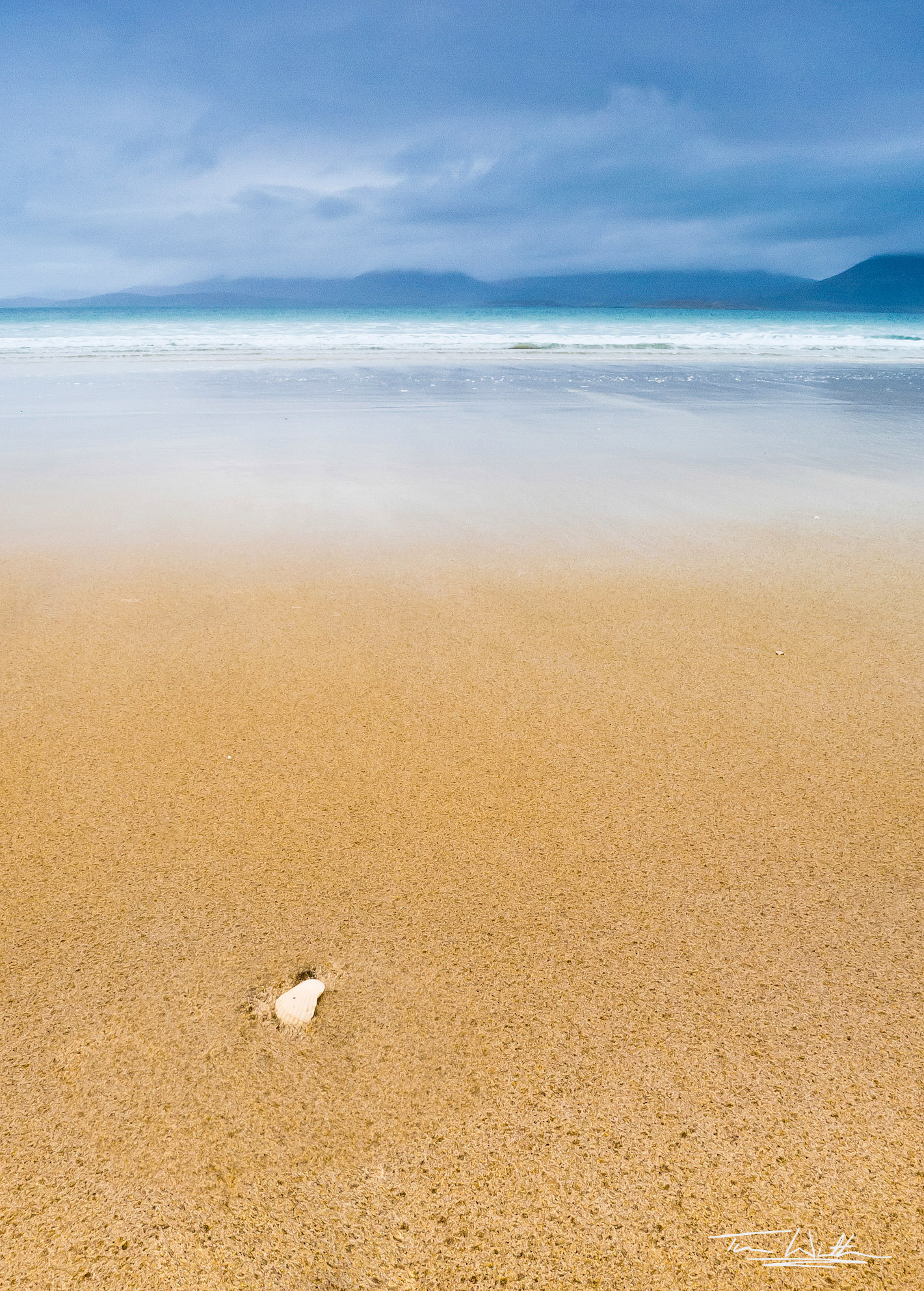 Solitary shell on Horgabost