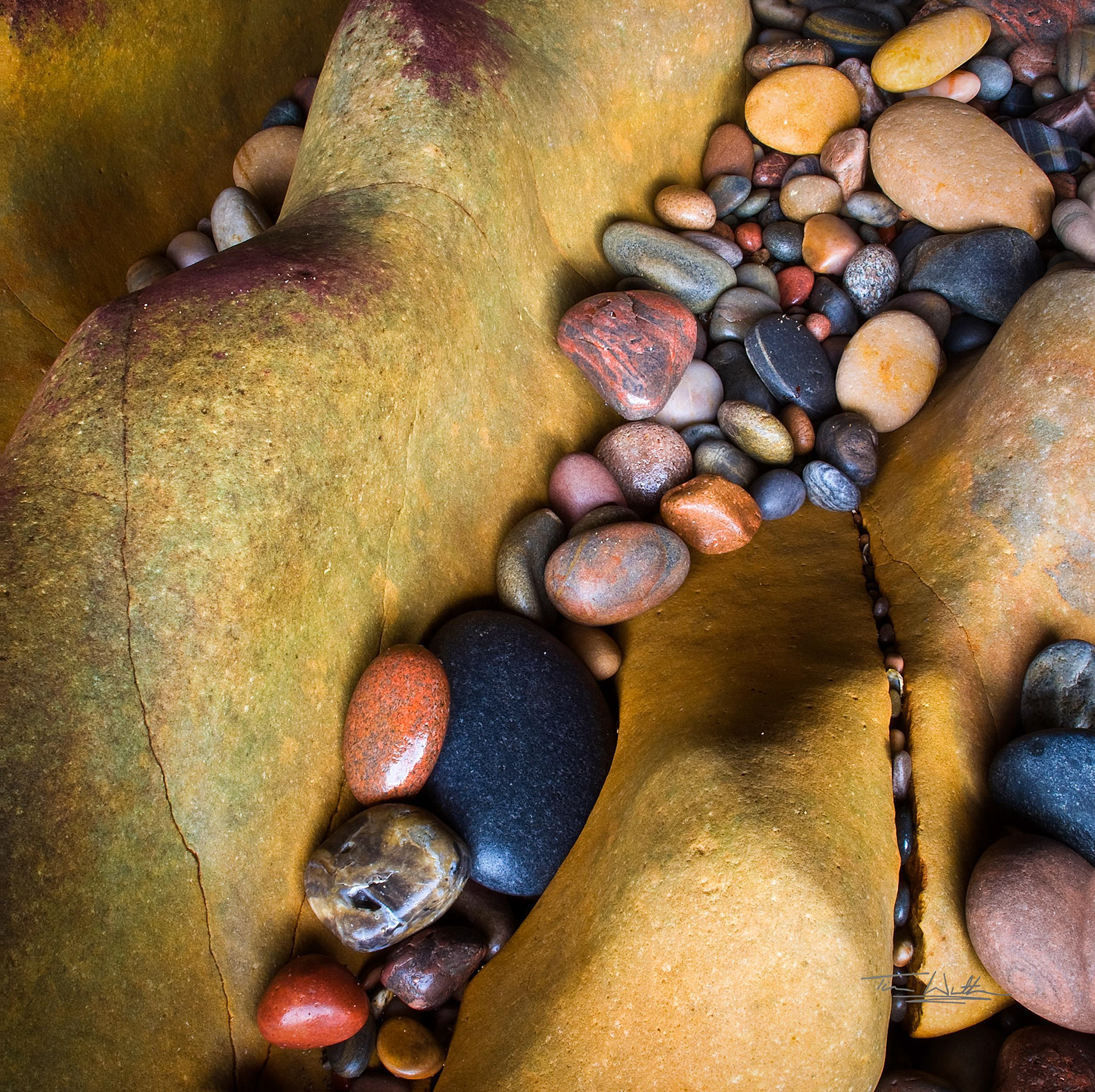 Cove Bay Treasure Trove