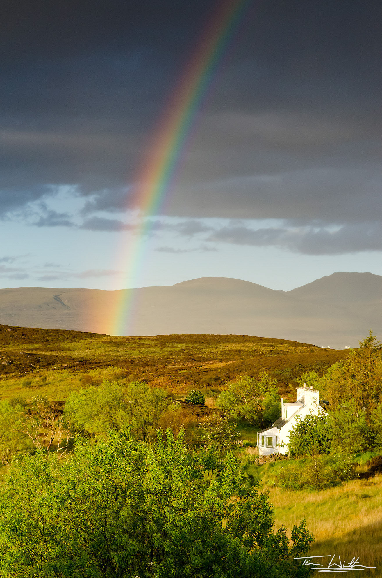 West Coast Rainbow, Tanera Mor