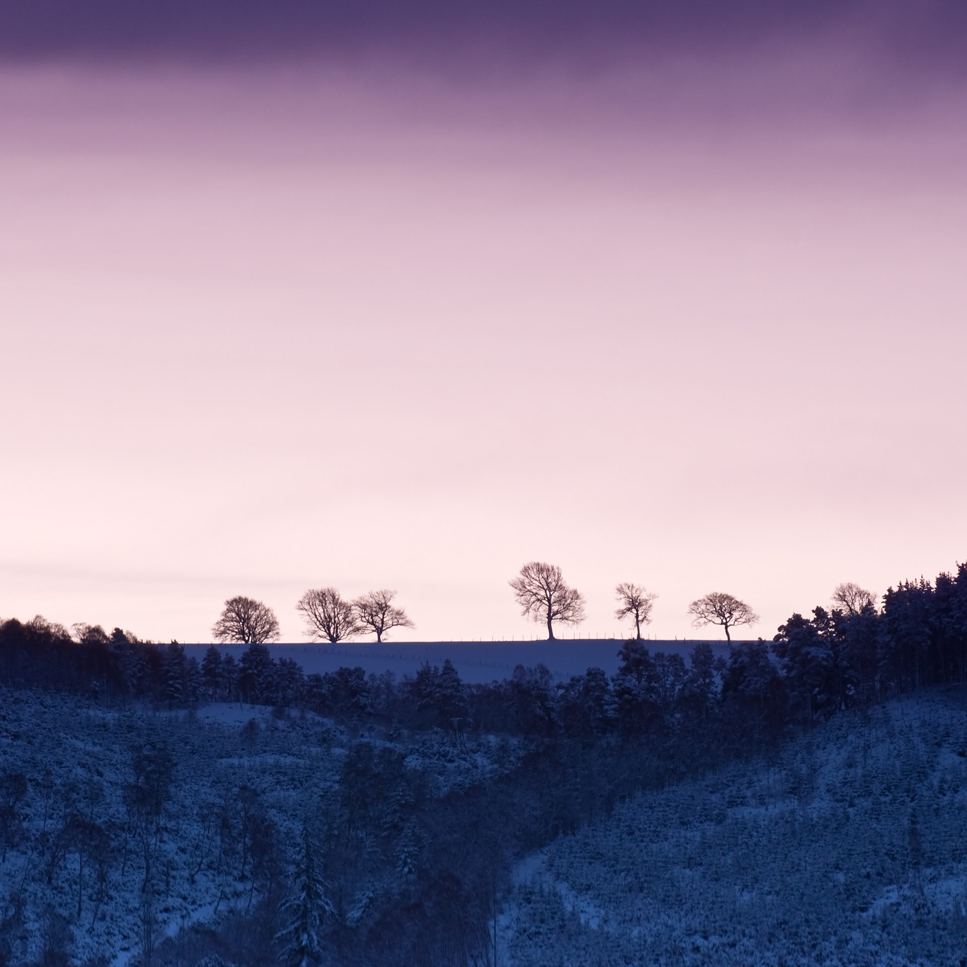 Moniack winter dawn