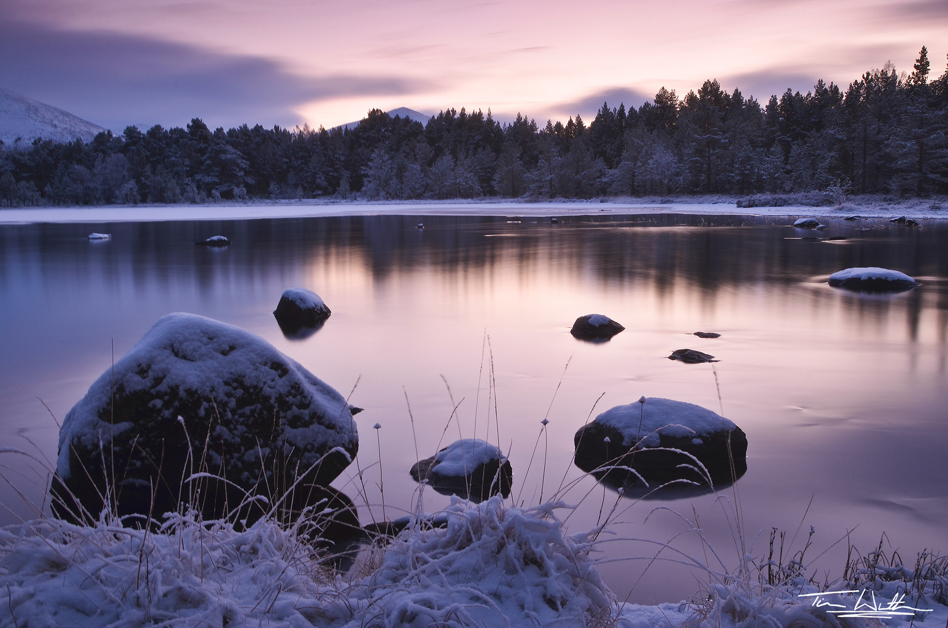 Loch Morlich Purple