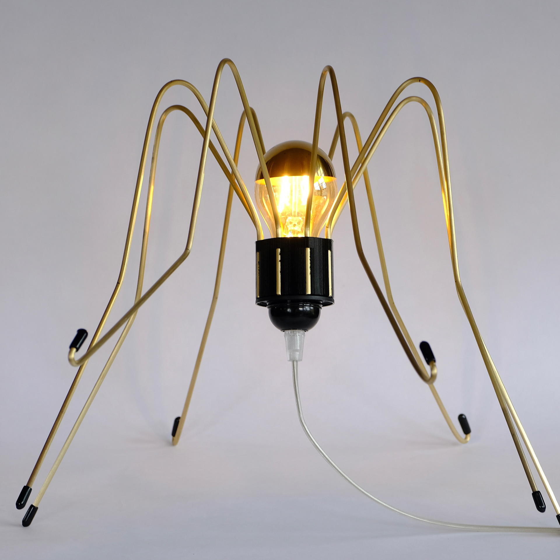 SPIDER