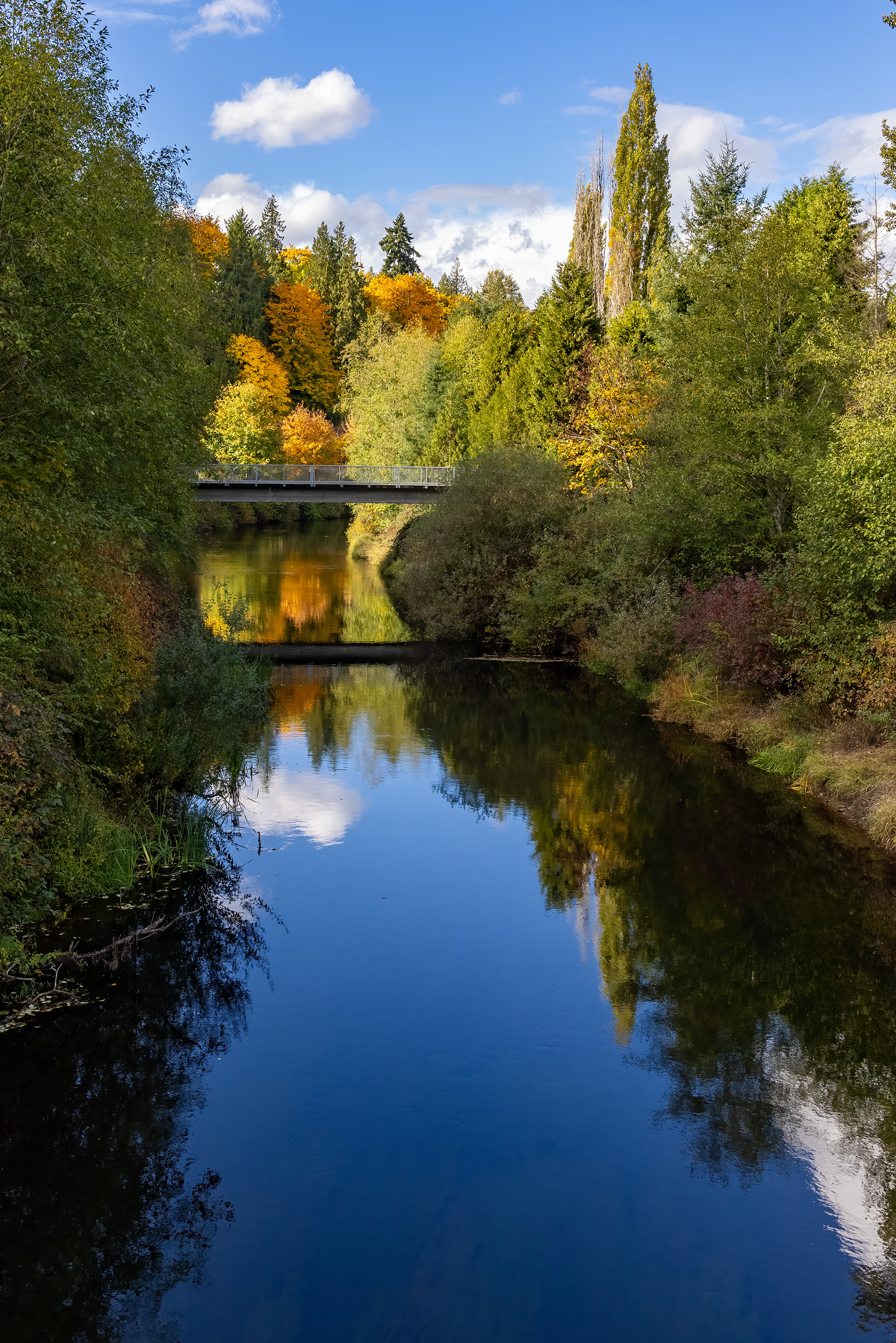 Sammamish River
