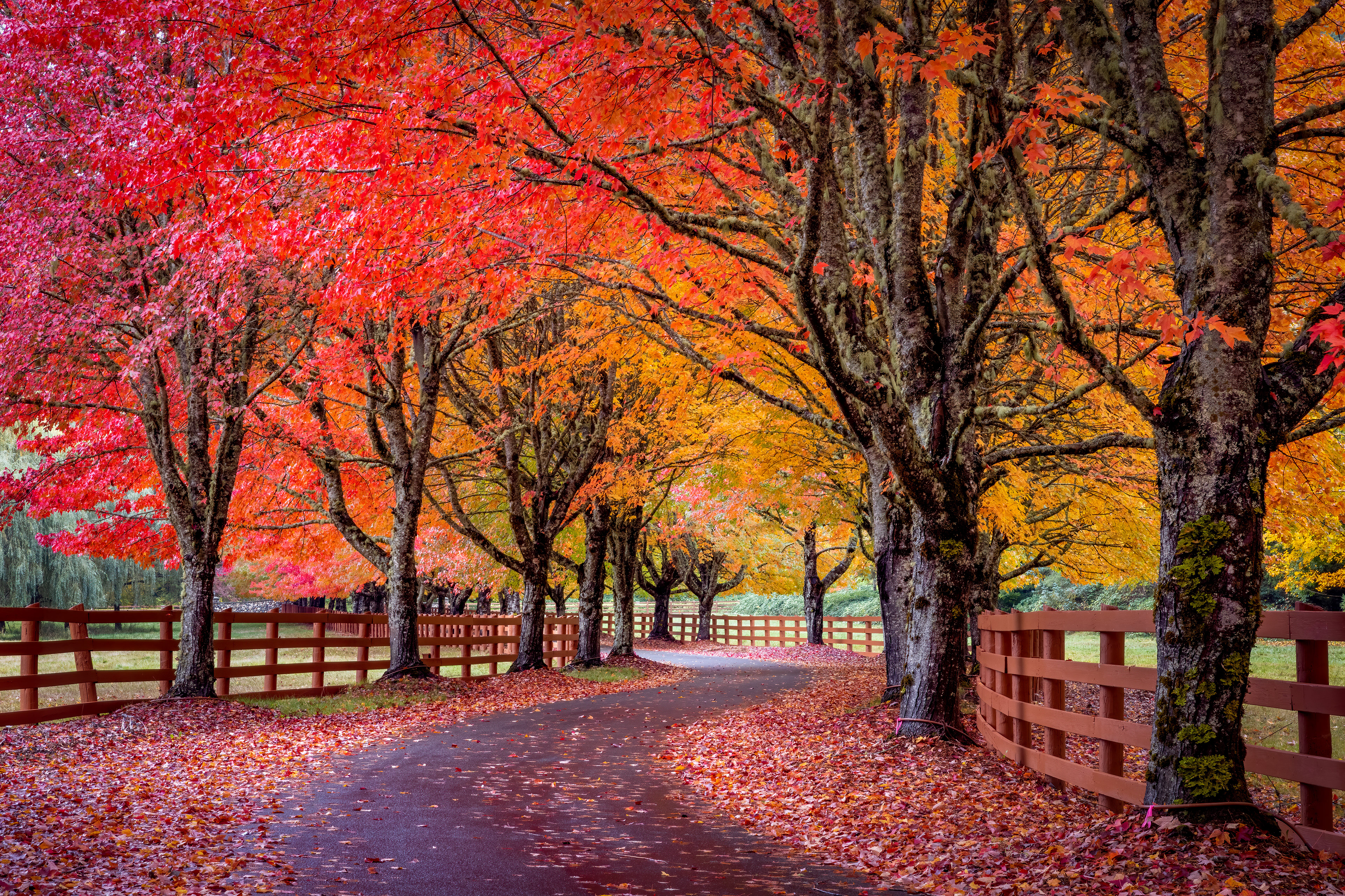 Rockwood Spectrum of Colors