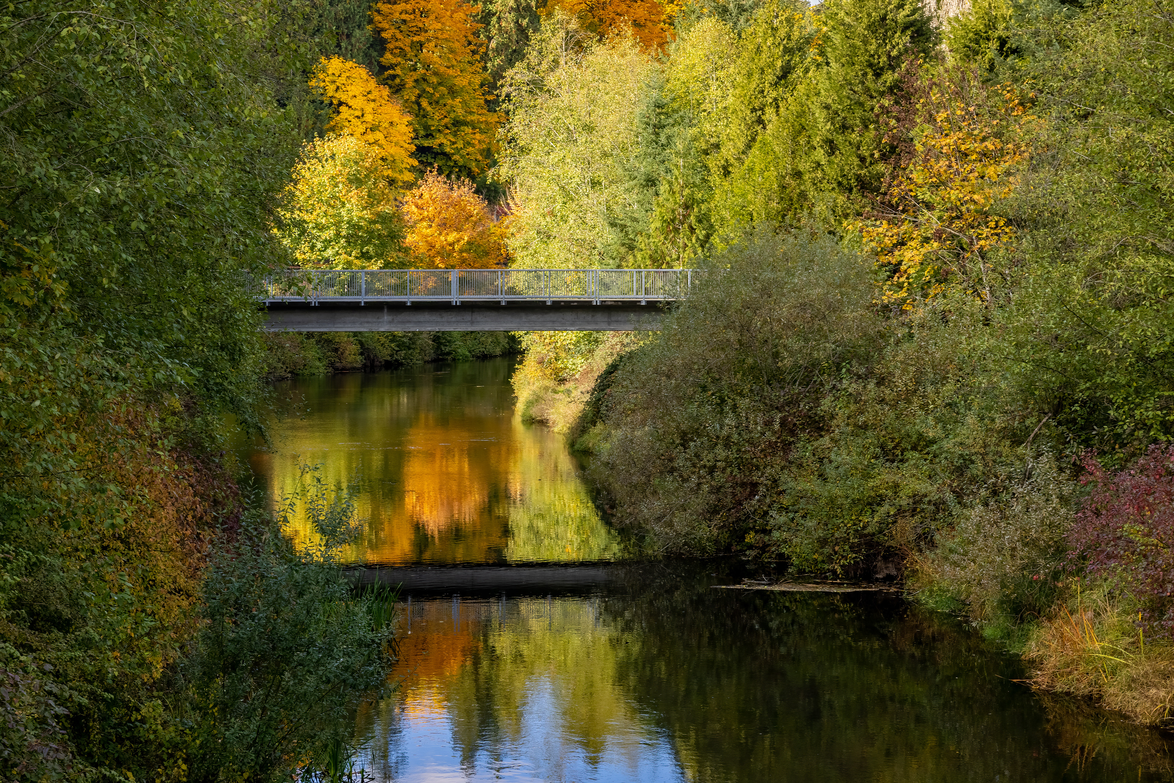 Bridge on Sammamish River