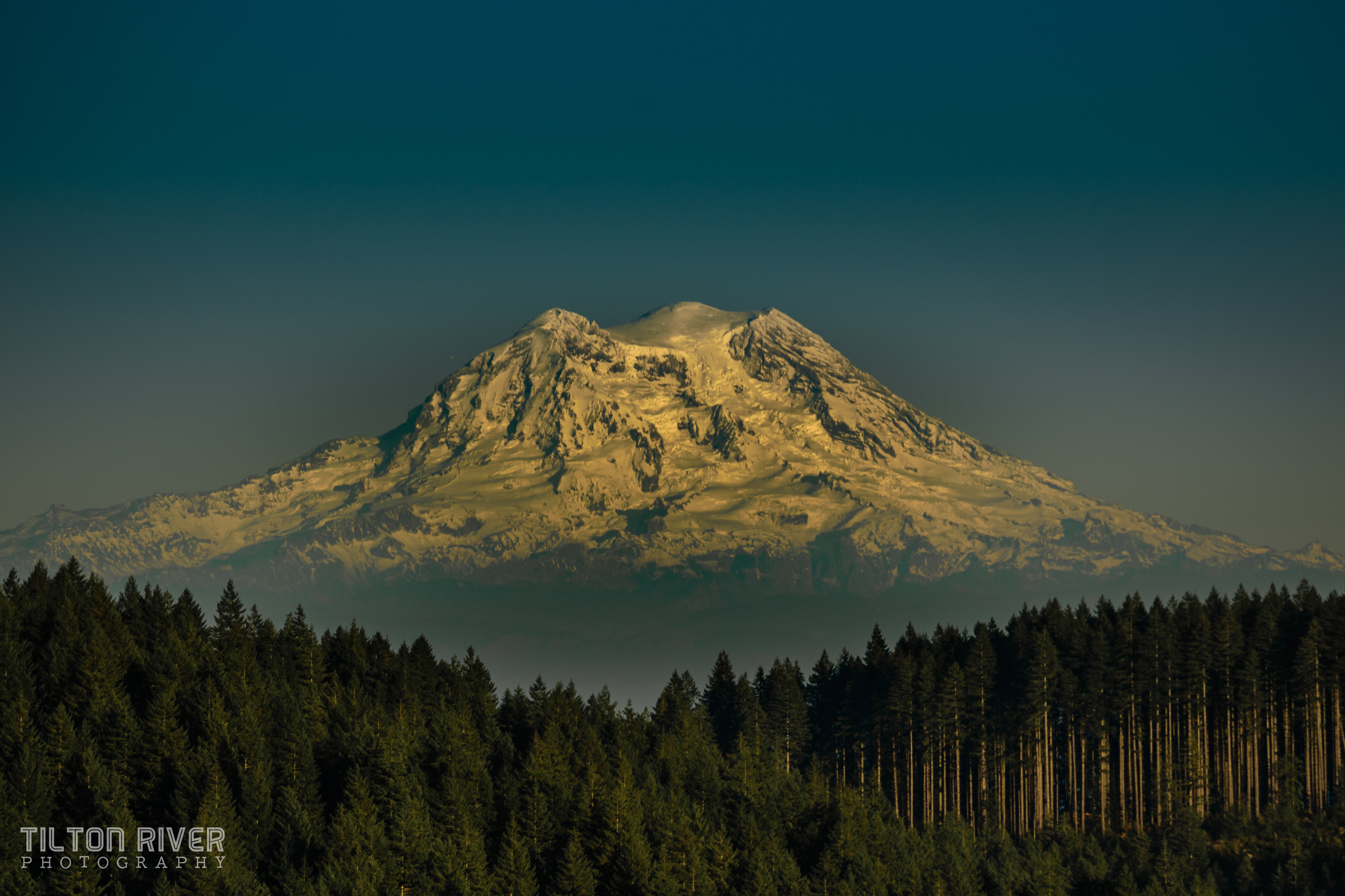 The Mountain - from Capitol Forest