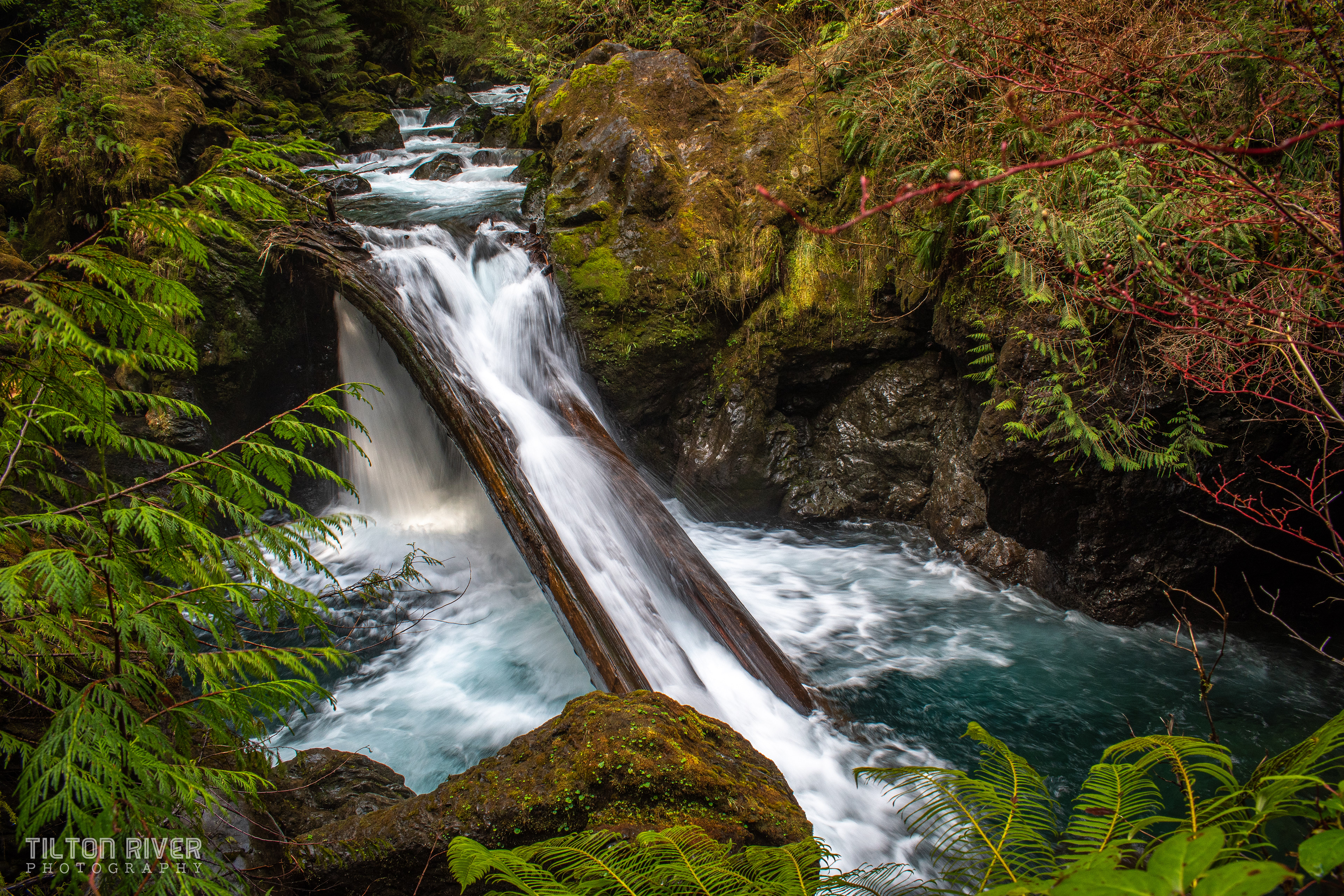 Maidenhair Falls