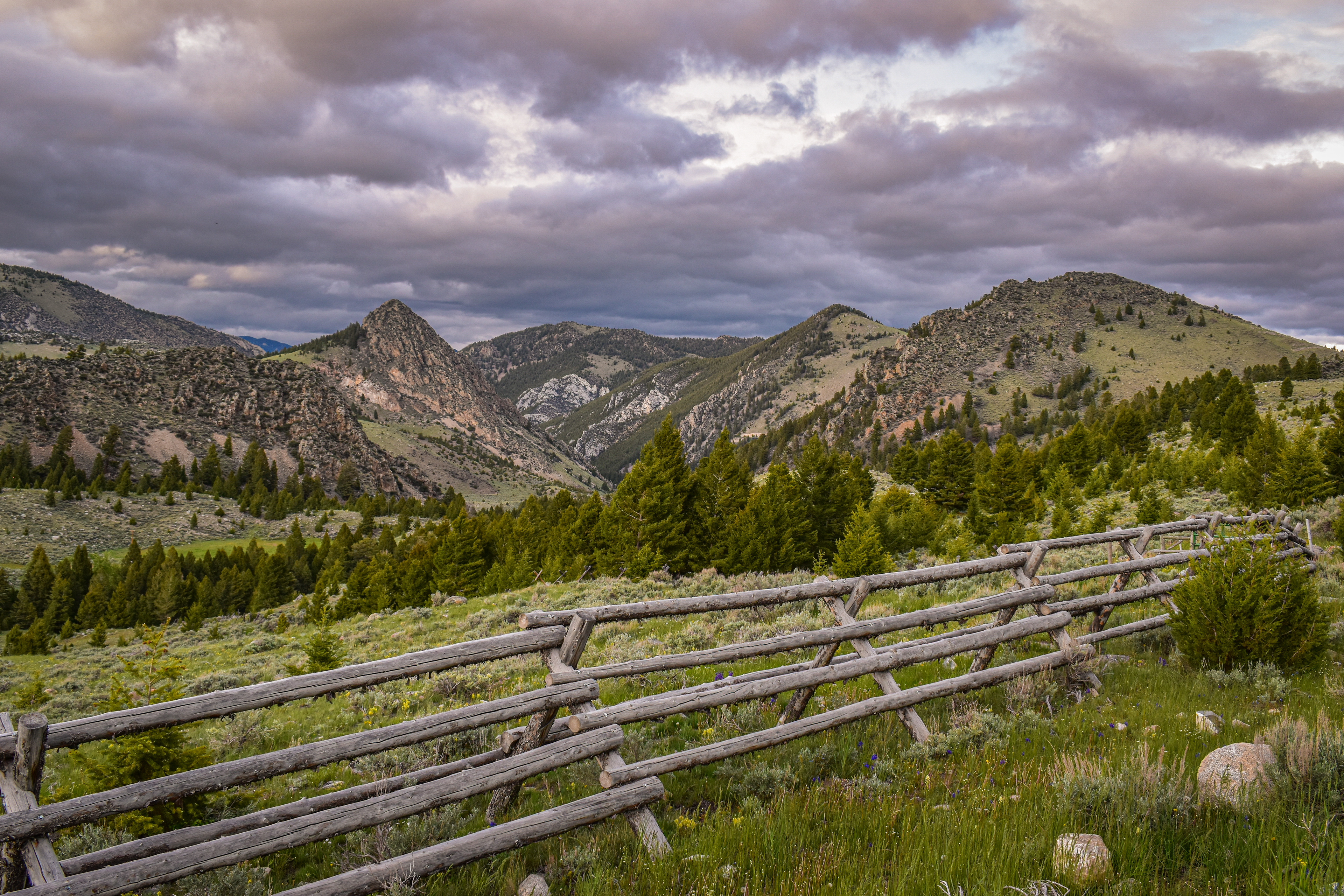 Beaverhead - Deerlodge National Forest, Montana