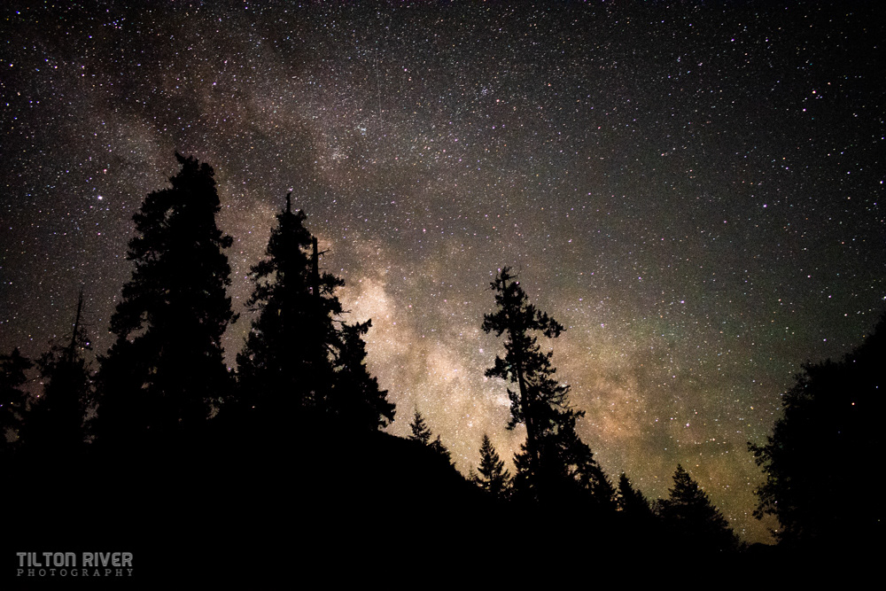 Olympic National Forest