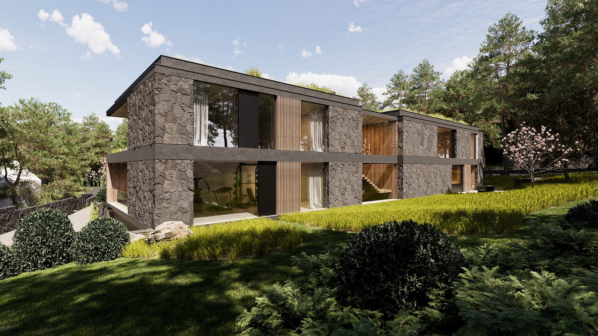 Vizualizace exteriéru moderního domu. Vizualizace Tomáš Firla firlavisual, návrh defakto architekti