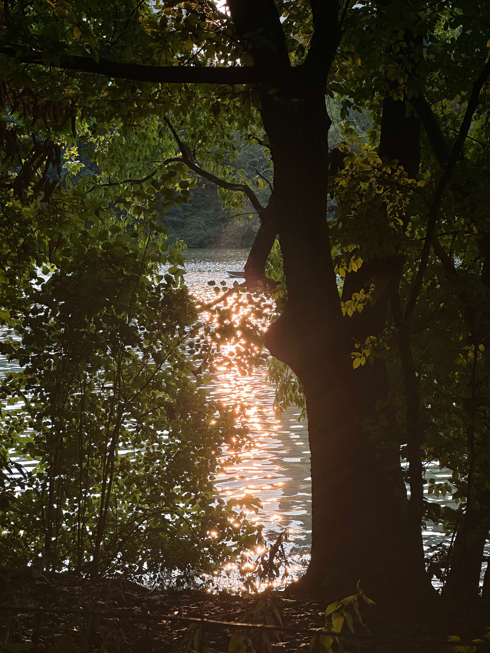 Greenery 1