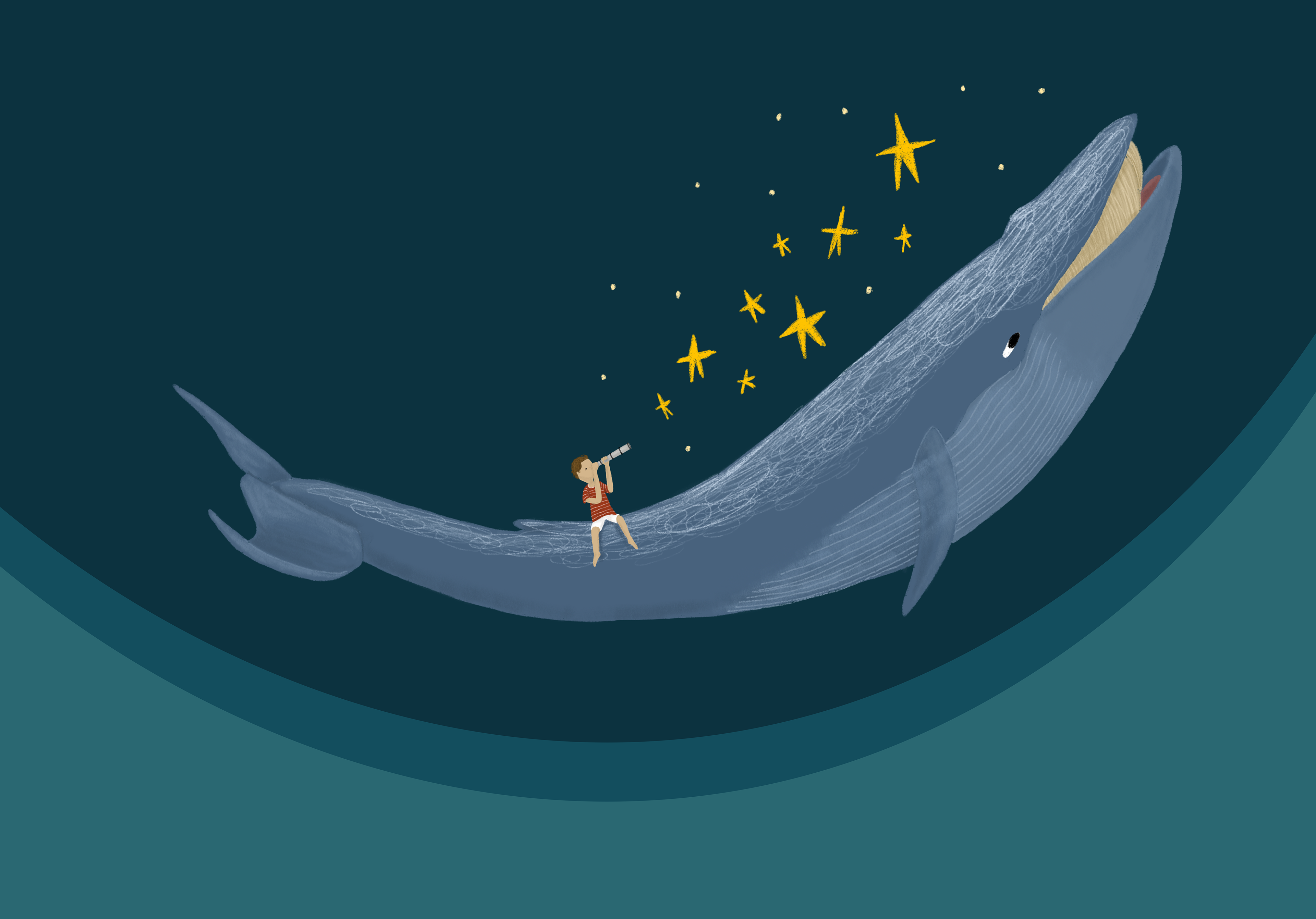 The Whale Travelling