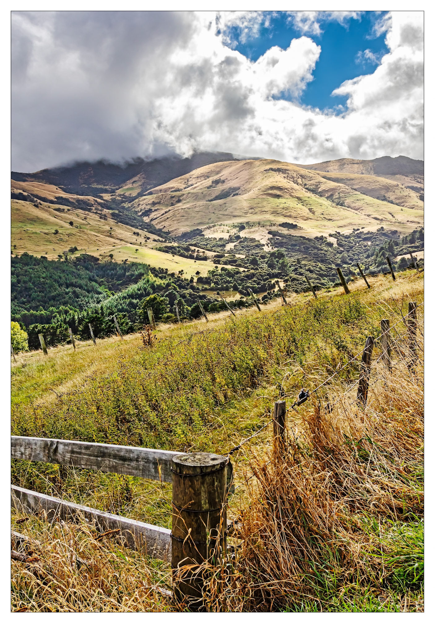 Banks Peninsula - Otago, New Zealand
