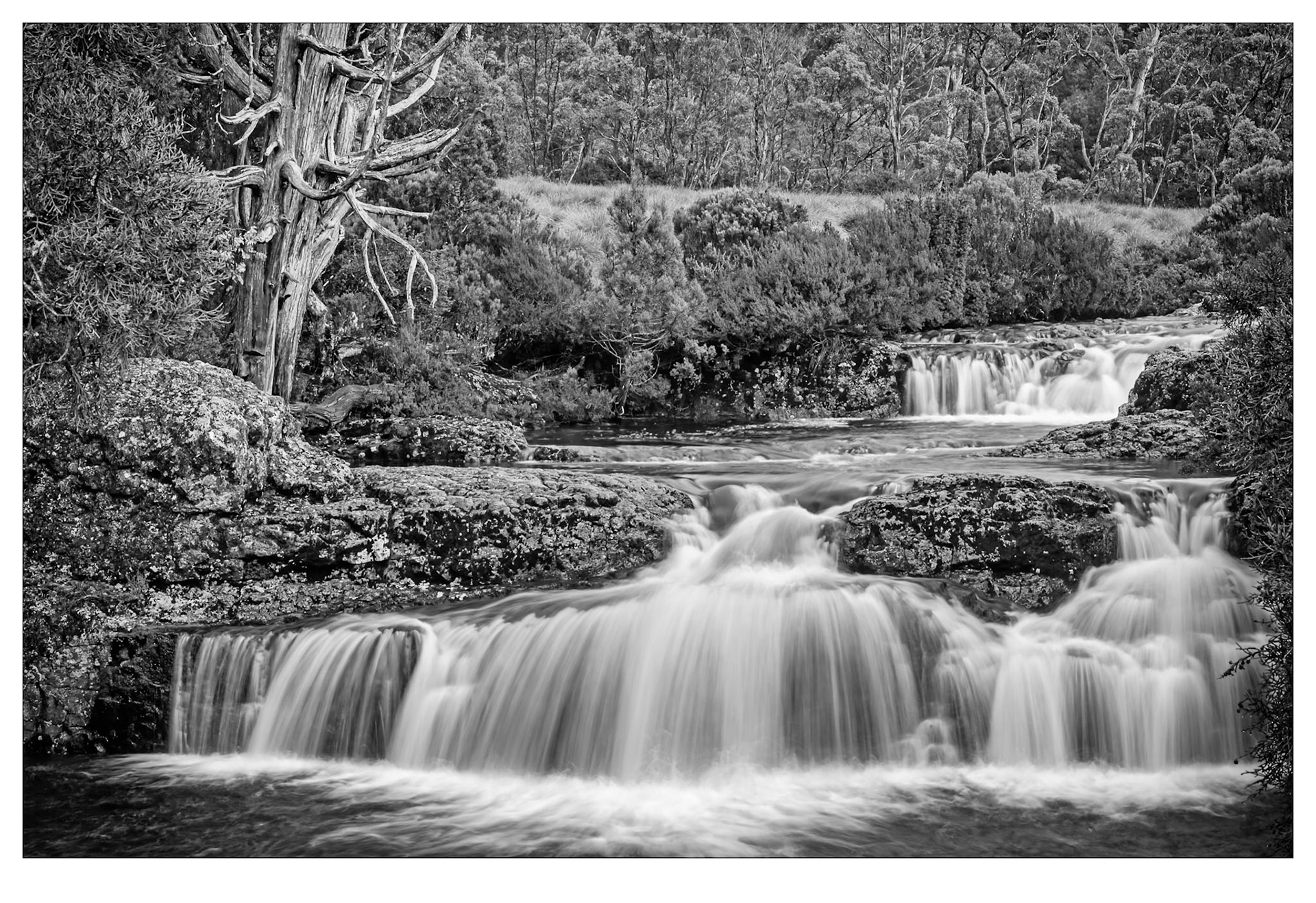 After the Rain - Cradle Mountain, Tasmania