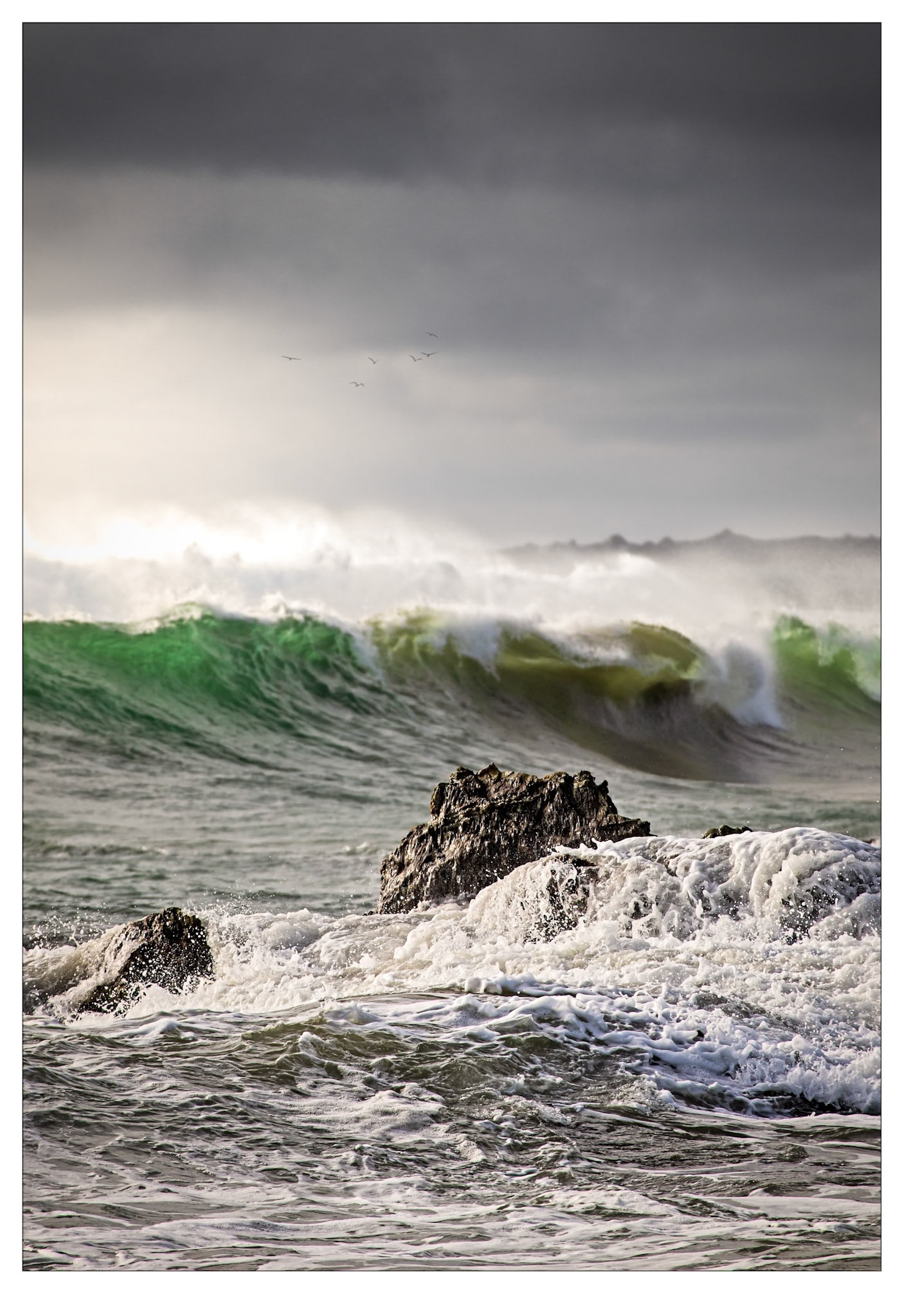 Big Surf - Tarkine Coast, Tasmania