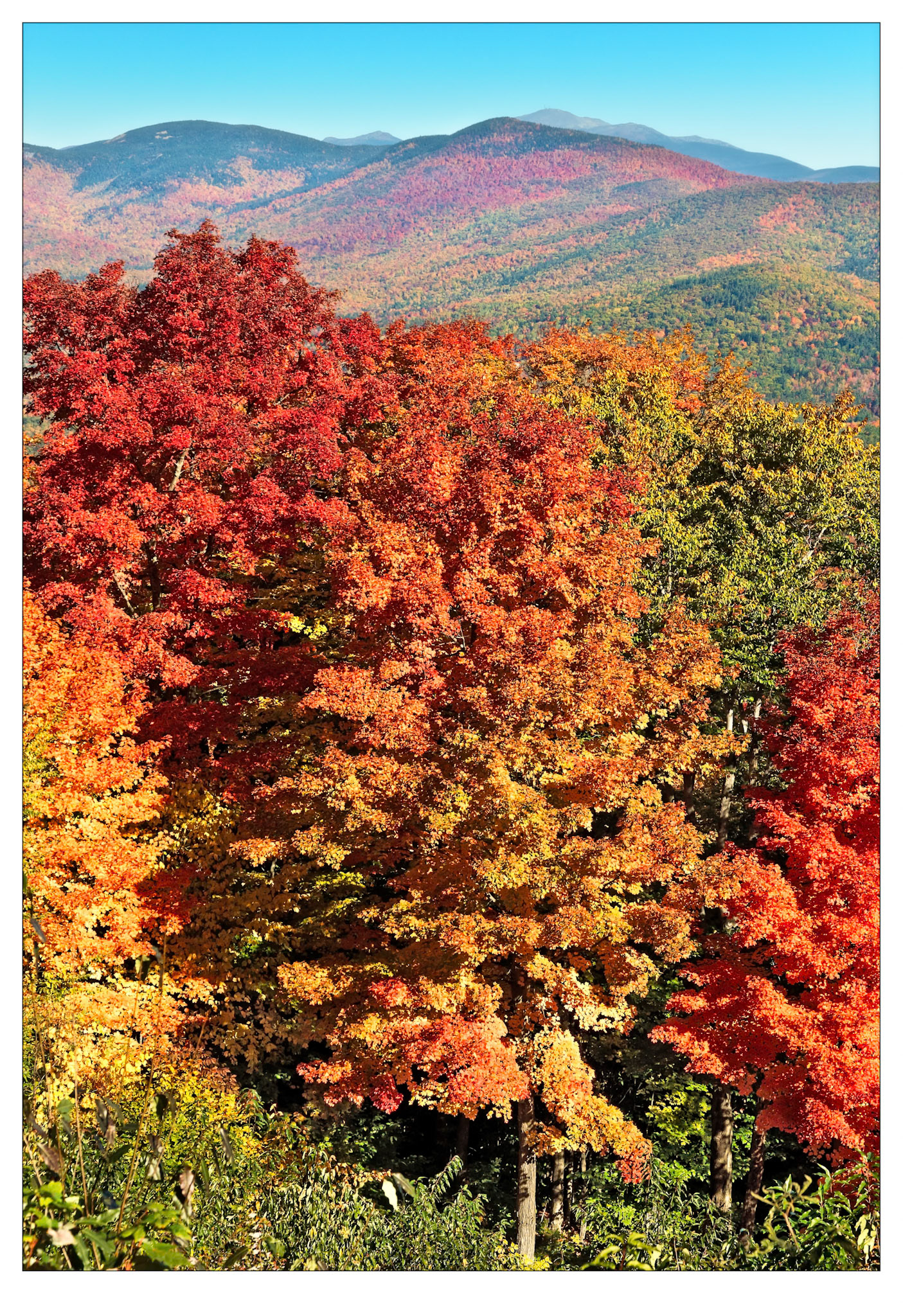 Blazing #2 - White Mountain, USA