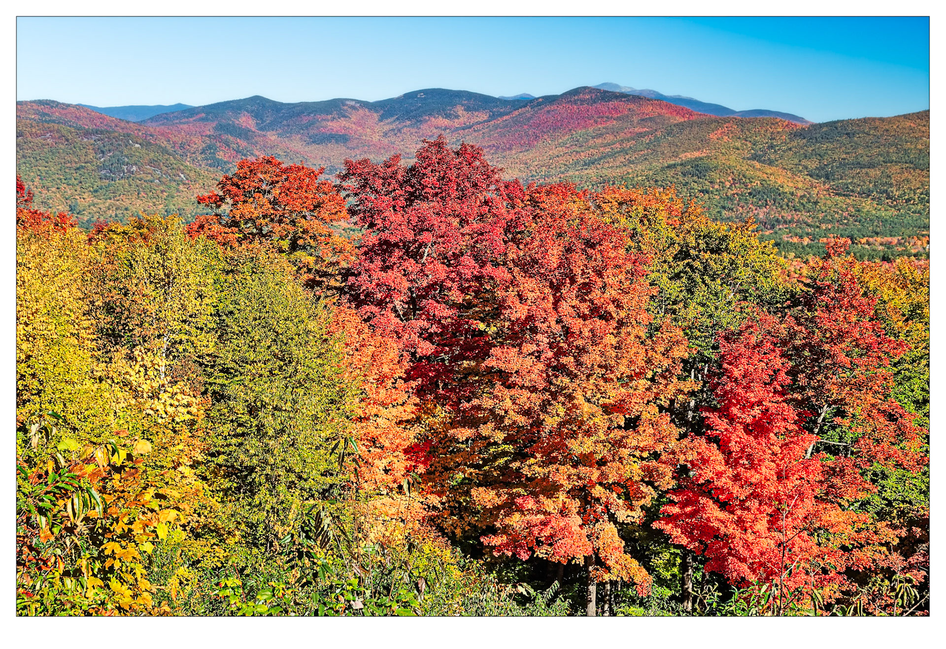 Blazing - White Mountain, USA