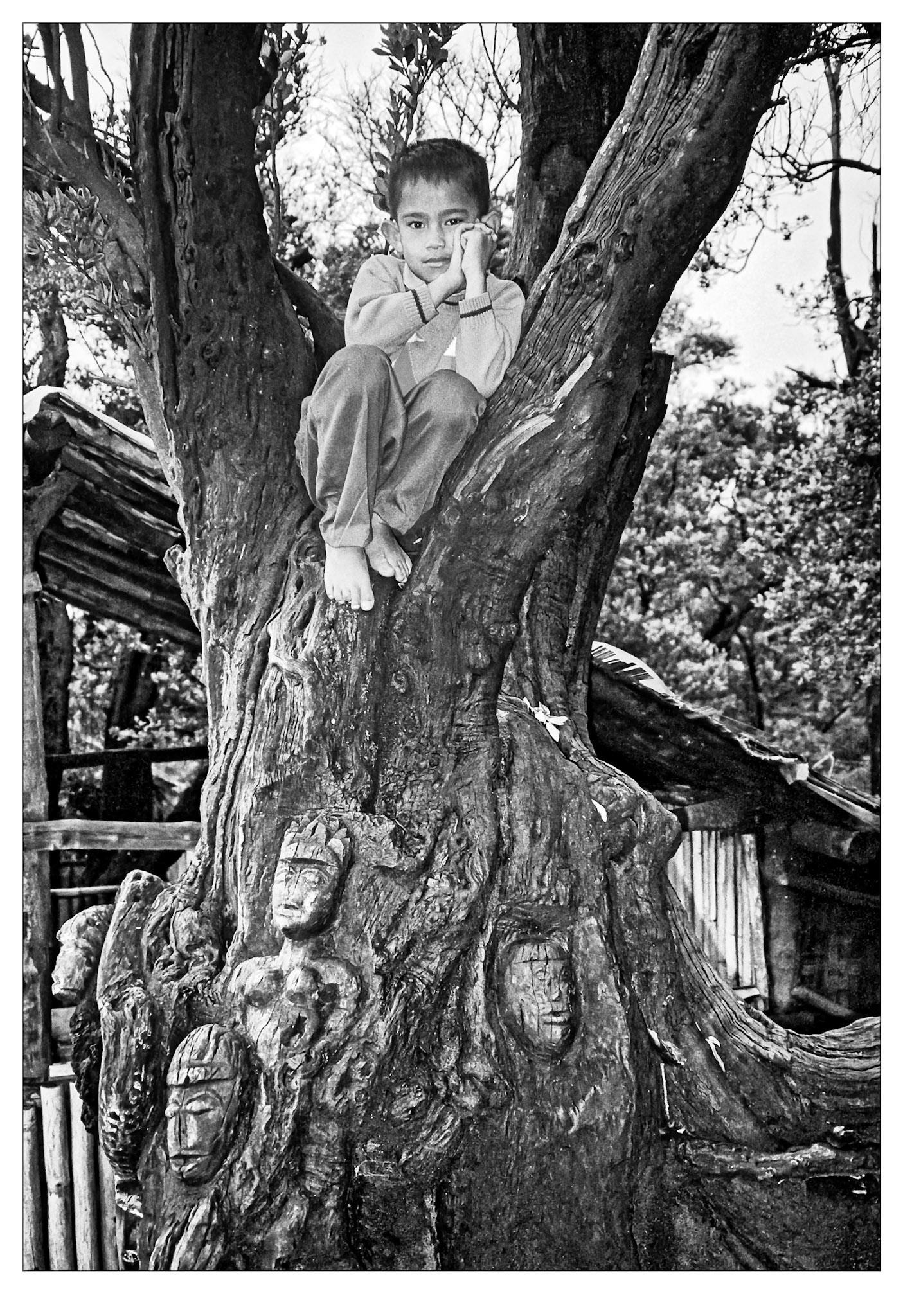 Guide for Hire - Java, Indonesia