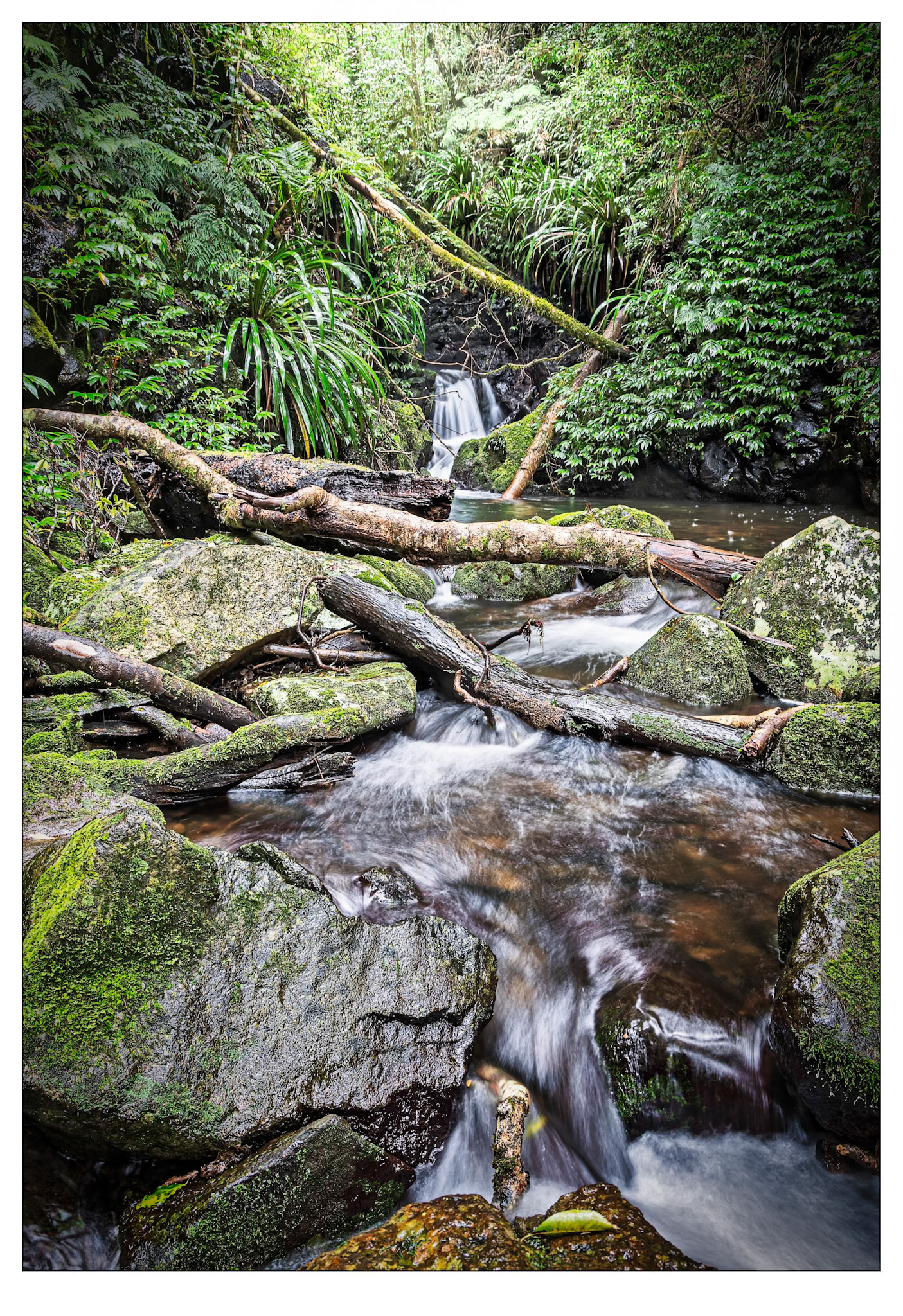 Burraboomba cascades - Lamington National Park, Queensland