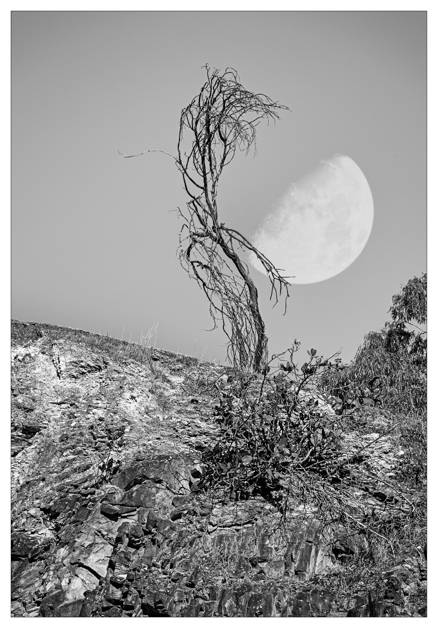 Anstey Moonrise - Adelaide Hills, South Australia