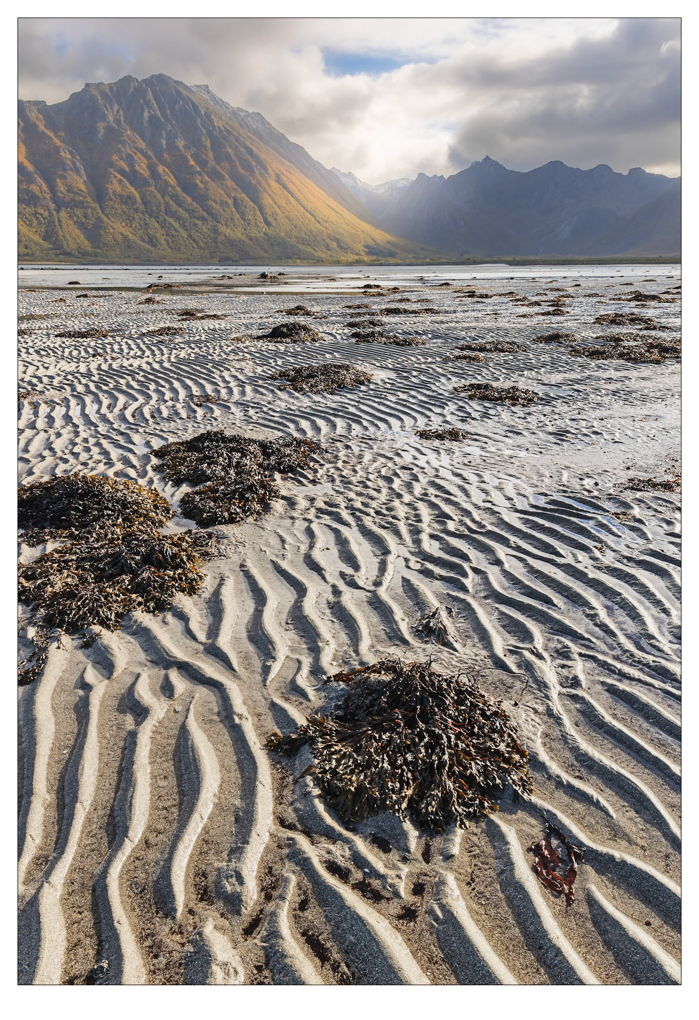 Low Tide Light Show - Lofoten Islands, Norway