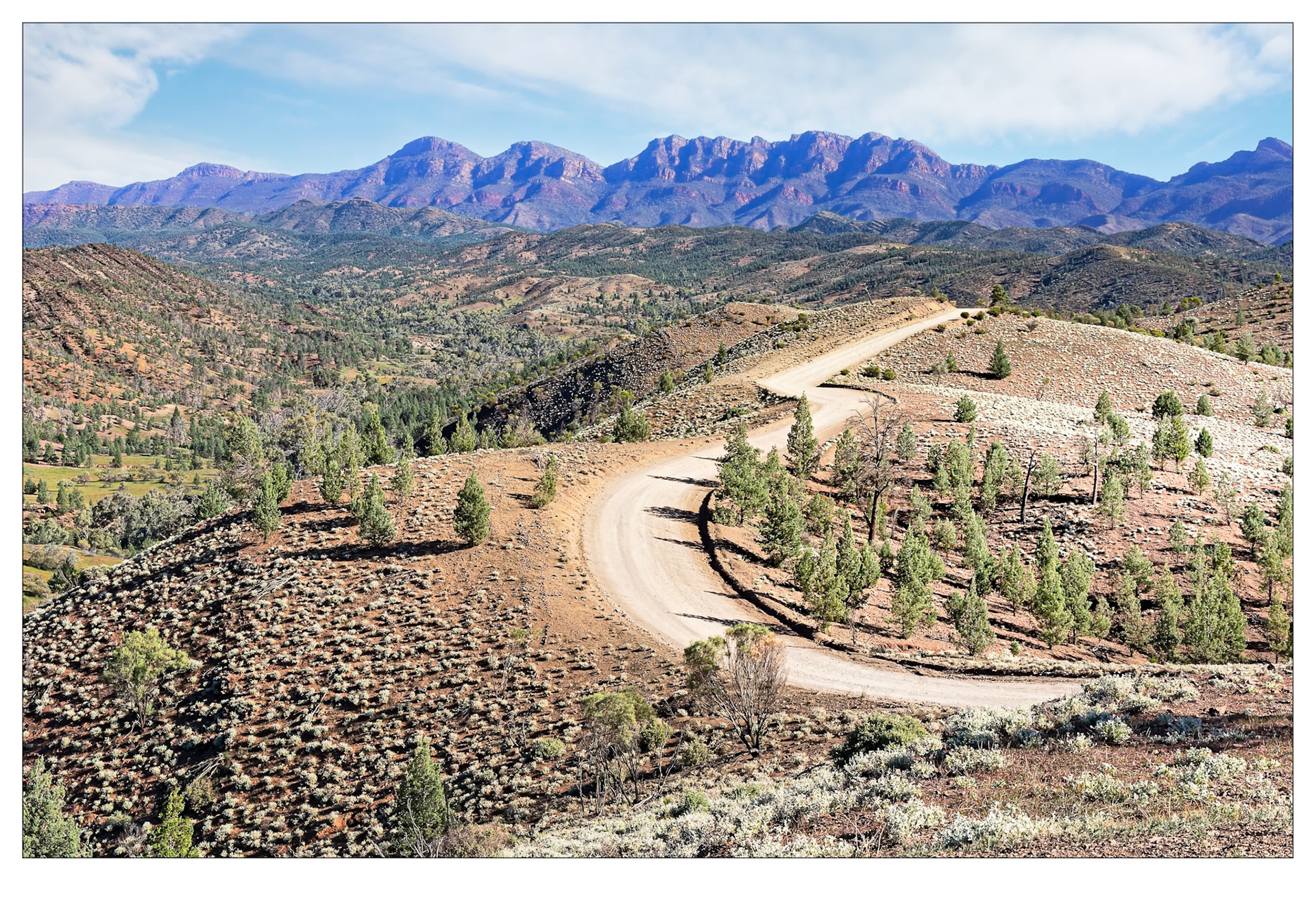 The Road Less Travelled - Flinders Ranges, South Australia