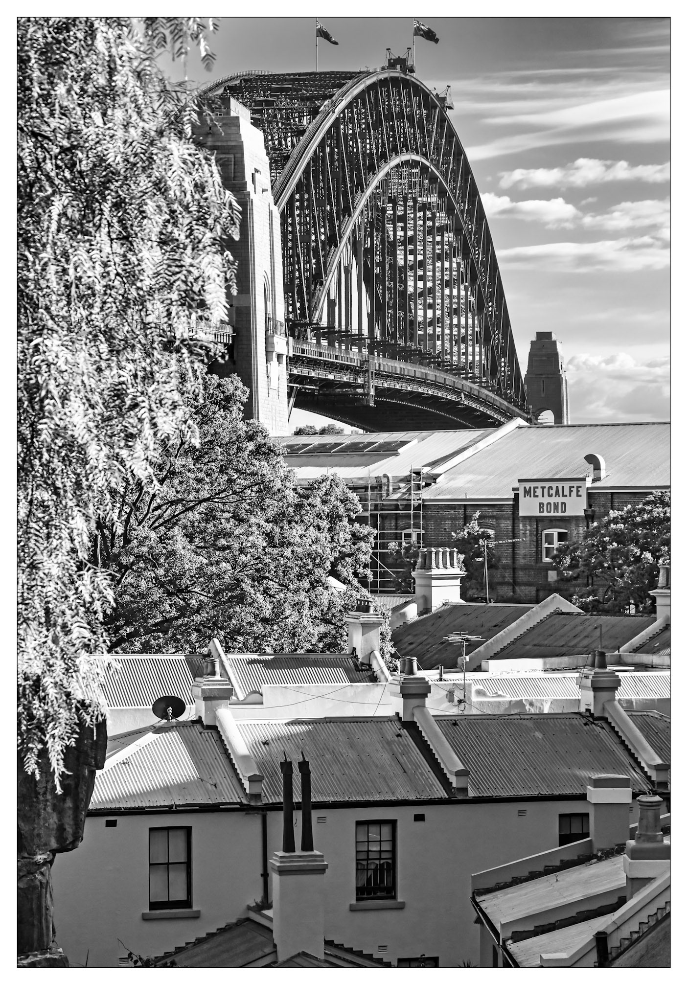 Coathanger Rising - Sydney, Australia