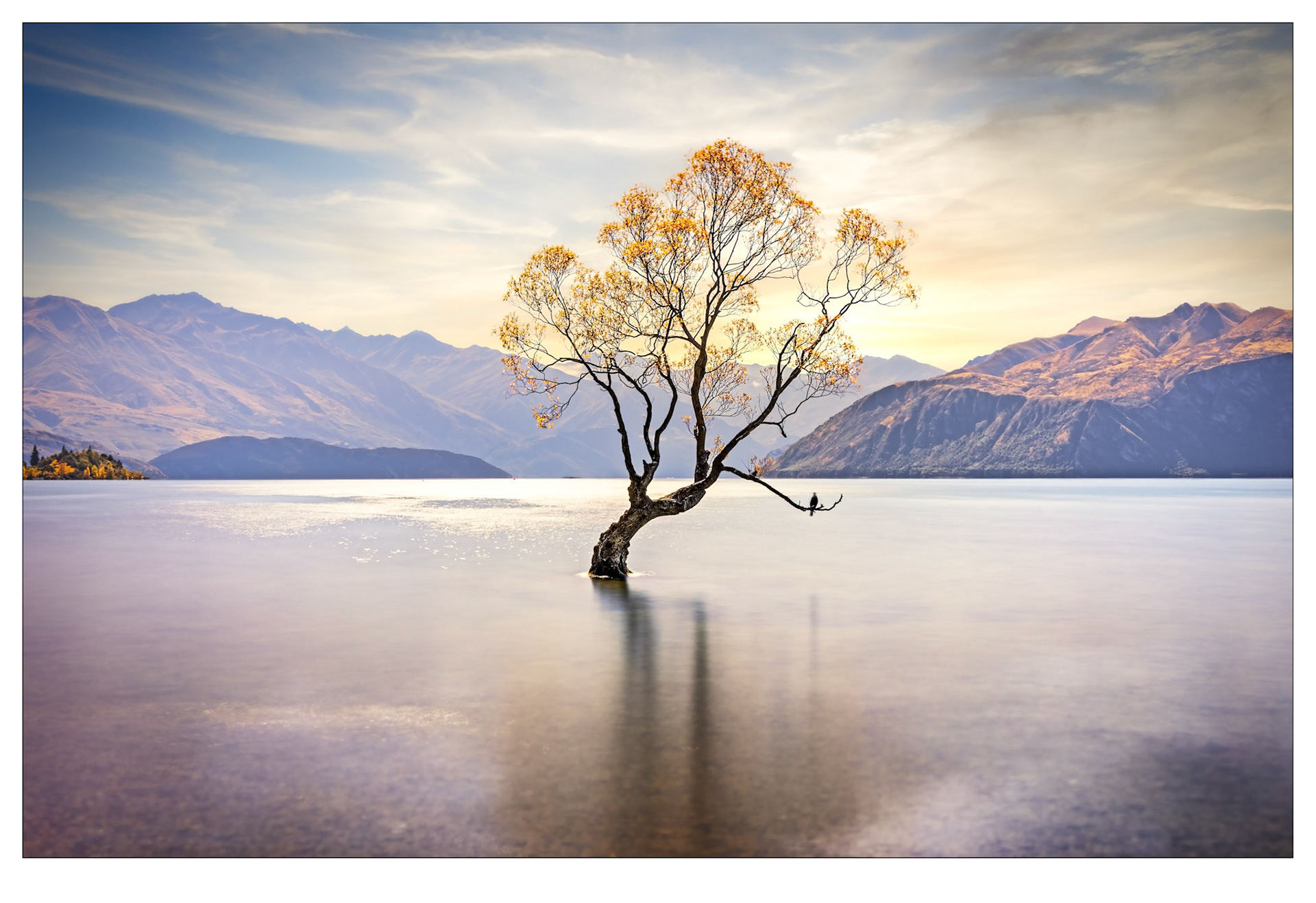 Hope - Lake Wanaka, New Zealand