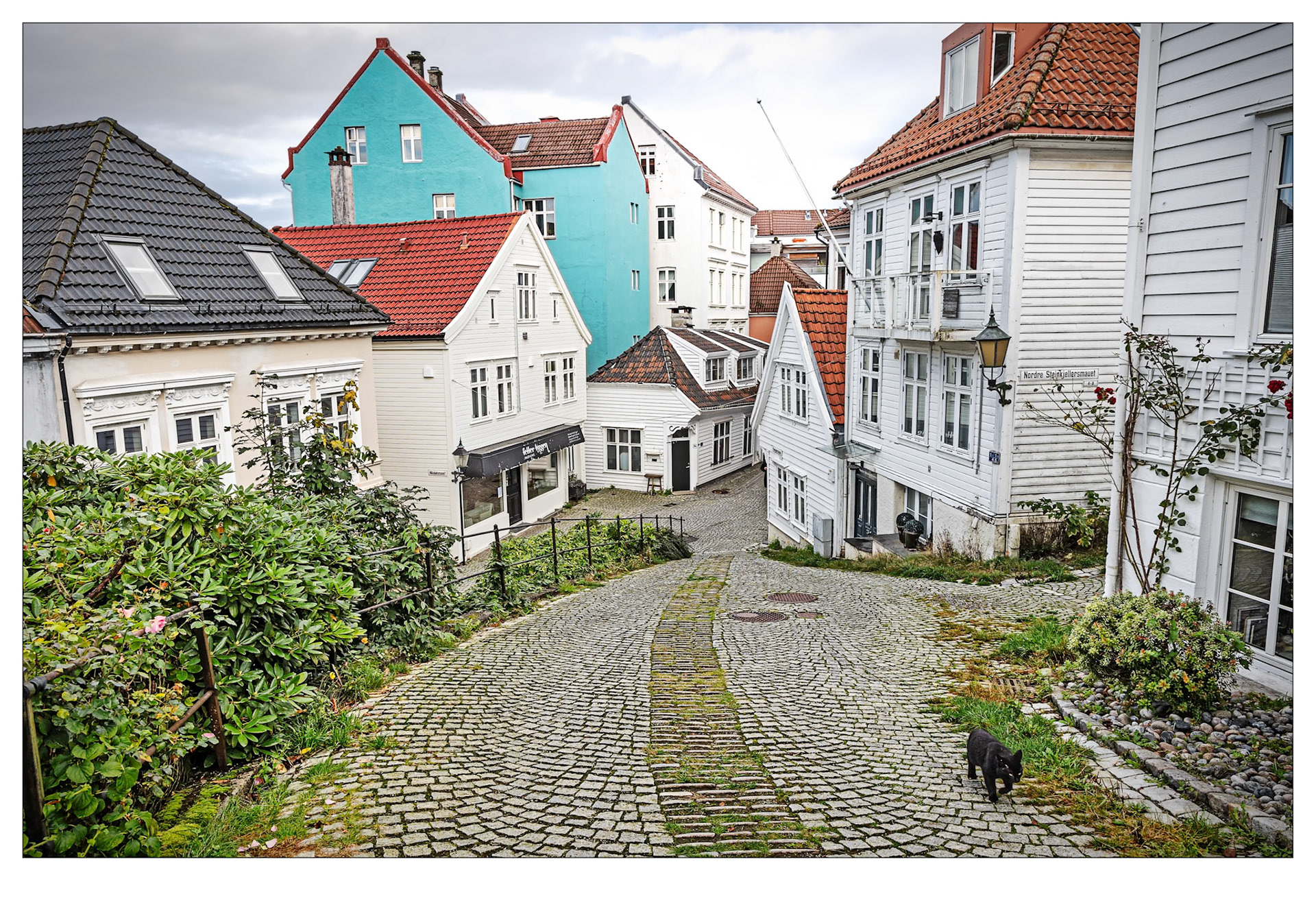 The Black Cat of Bergen - Bergen, Norway