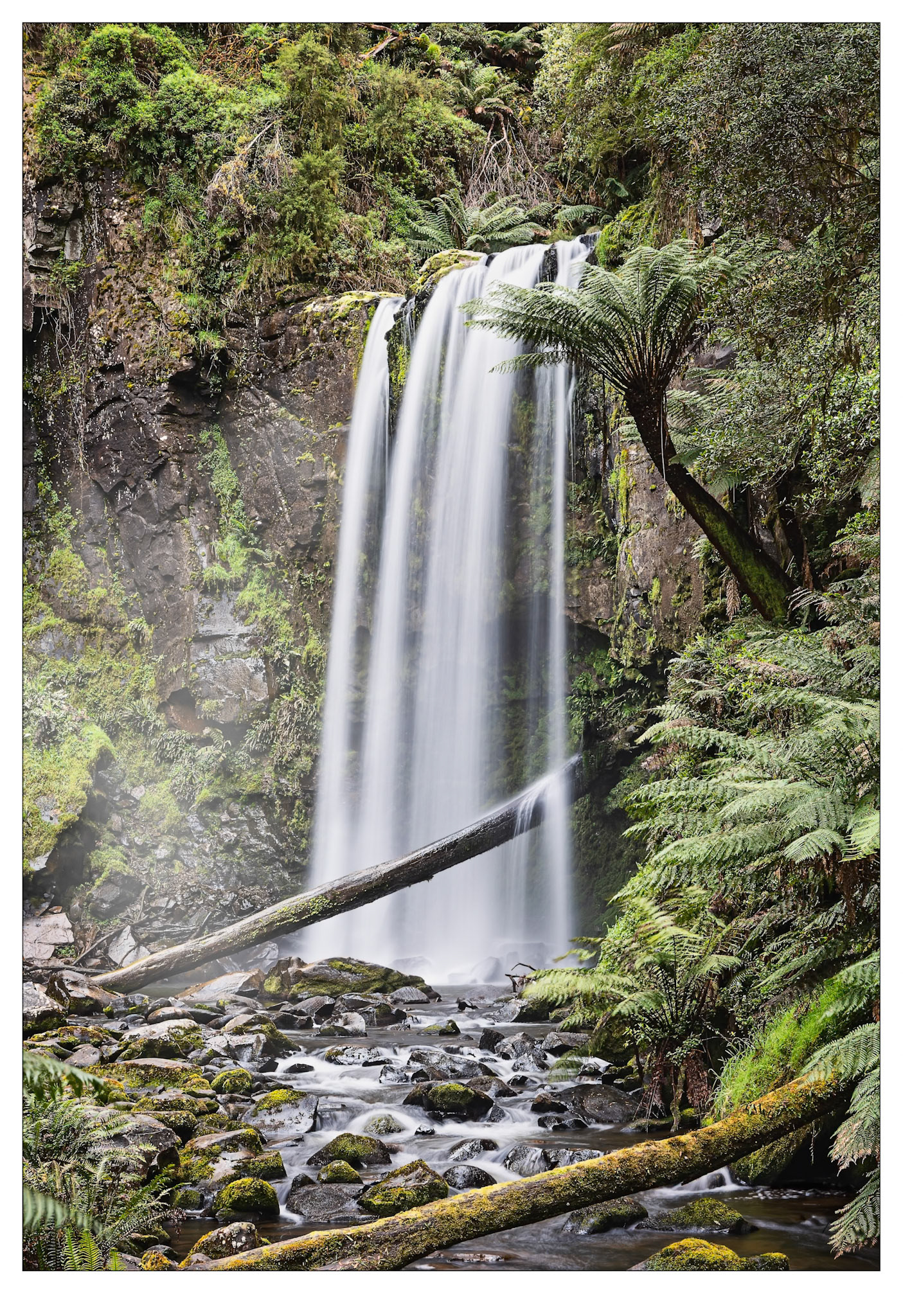 Hopetoun Falls - Otway Ranges, Victoria