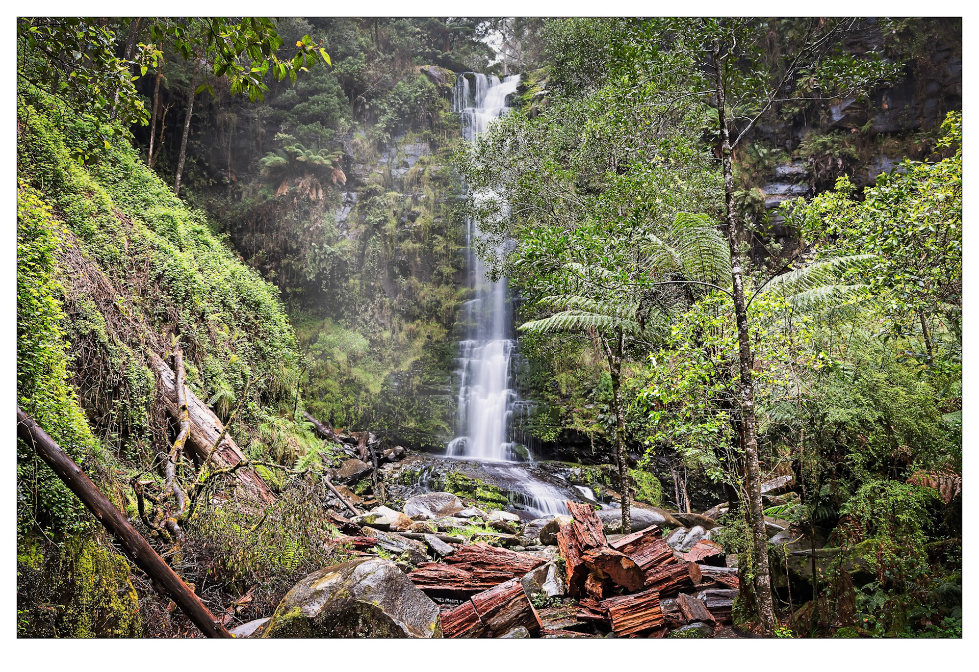 Erskine Falls - Otway Ranges, Victoria