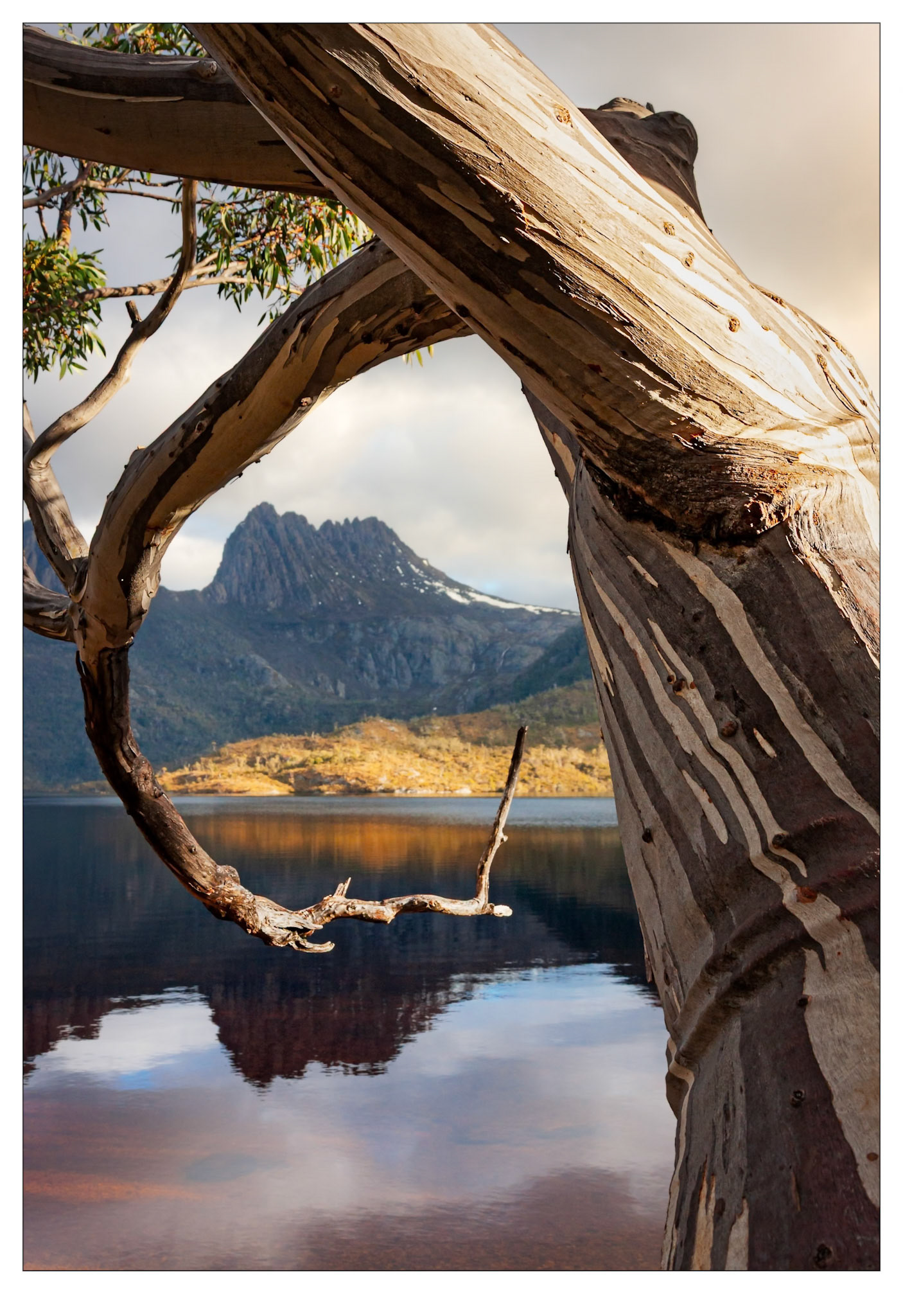 Framed - Dove Lake, Tasmania