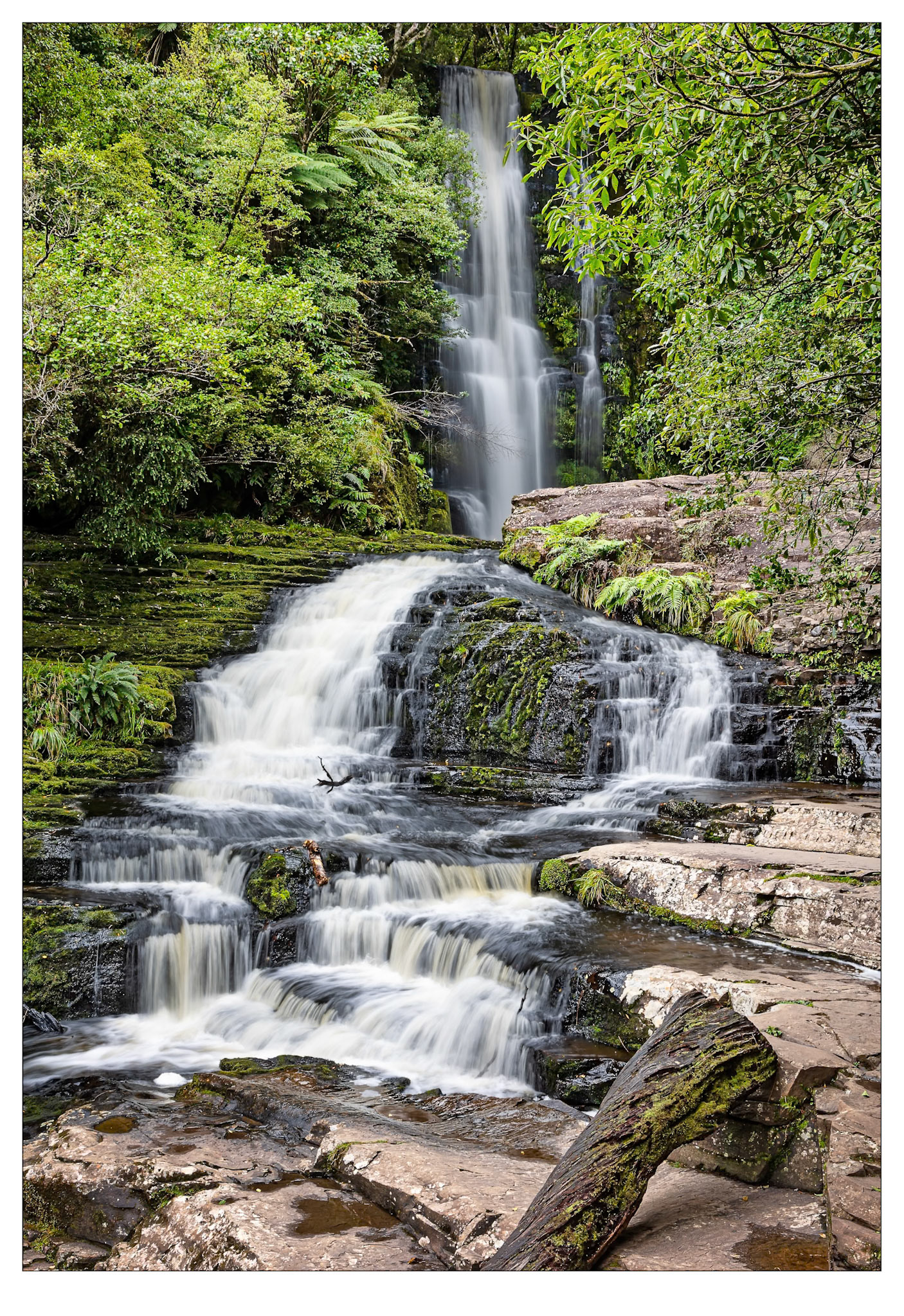 McLean Falls - Catlins, New Zealand