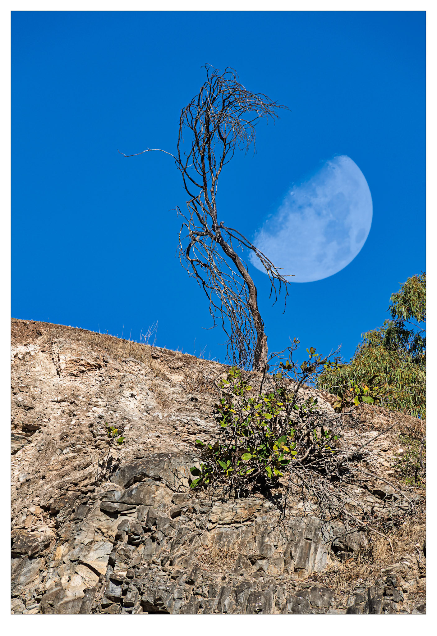 Ansteys Moonrise - Adelaide Hills, South Australia