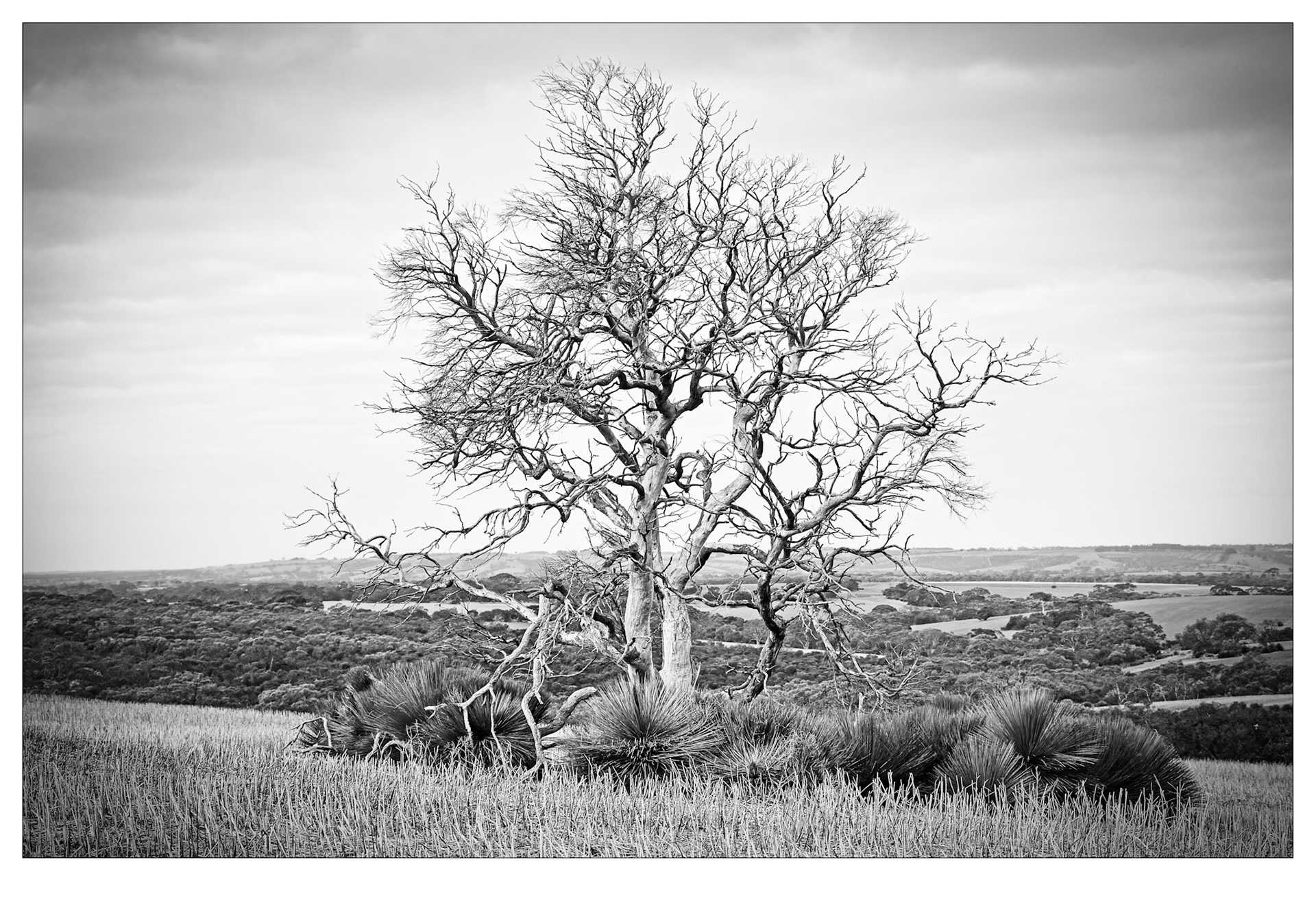 Nature's Sculpture - Kangaroo Island, South Australia