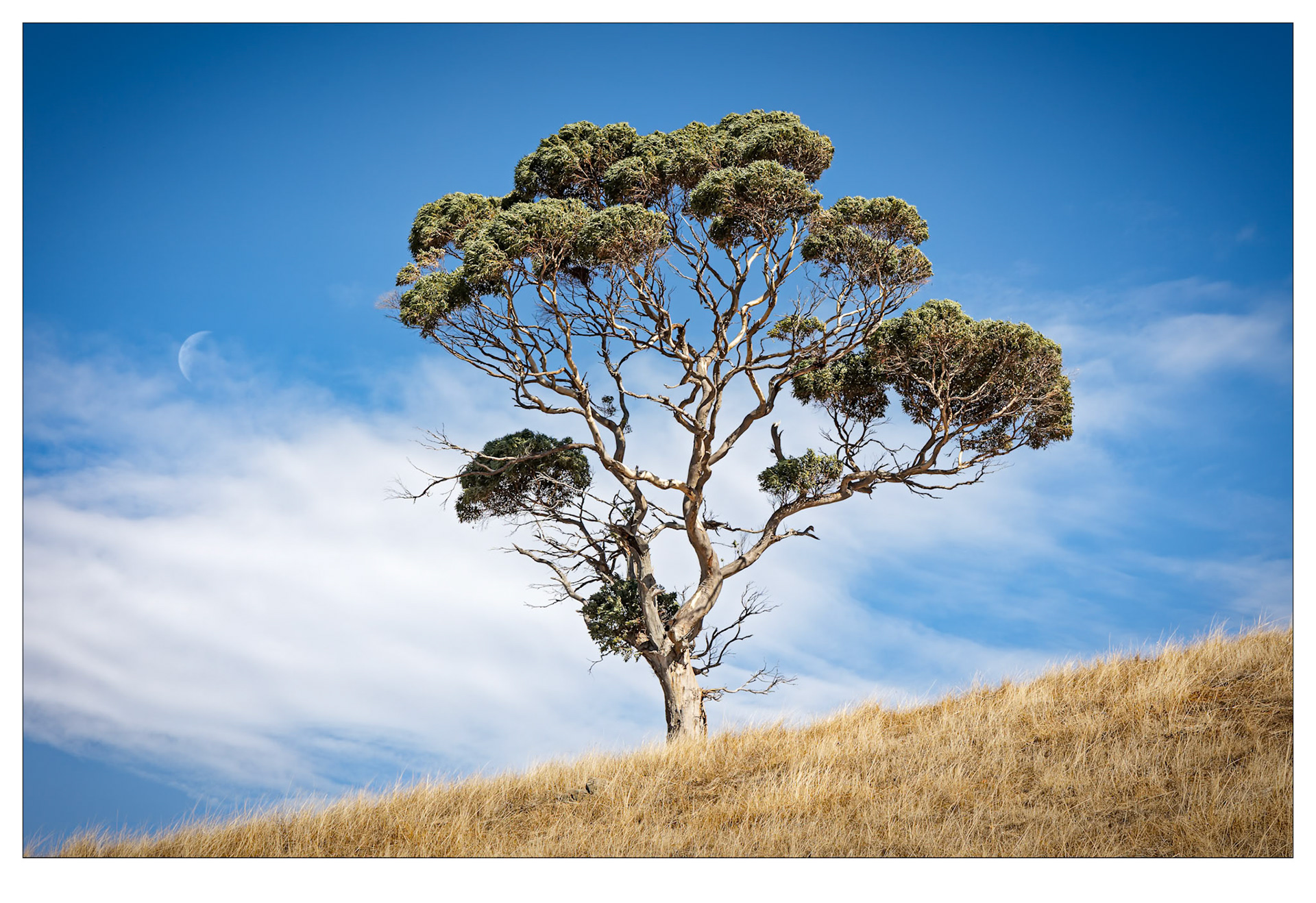Moonrise at Snelling - Kangaroo Island, South Australia