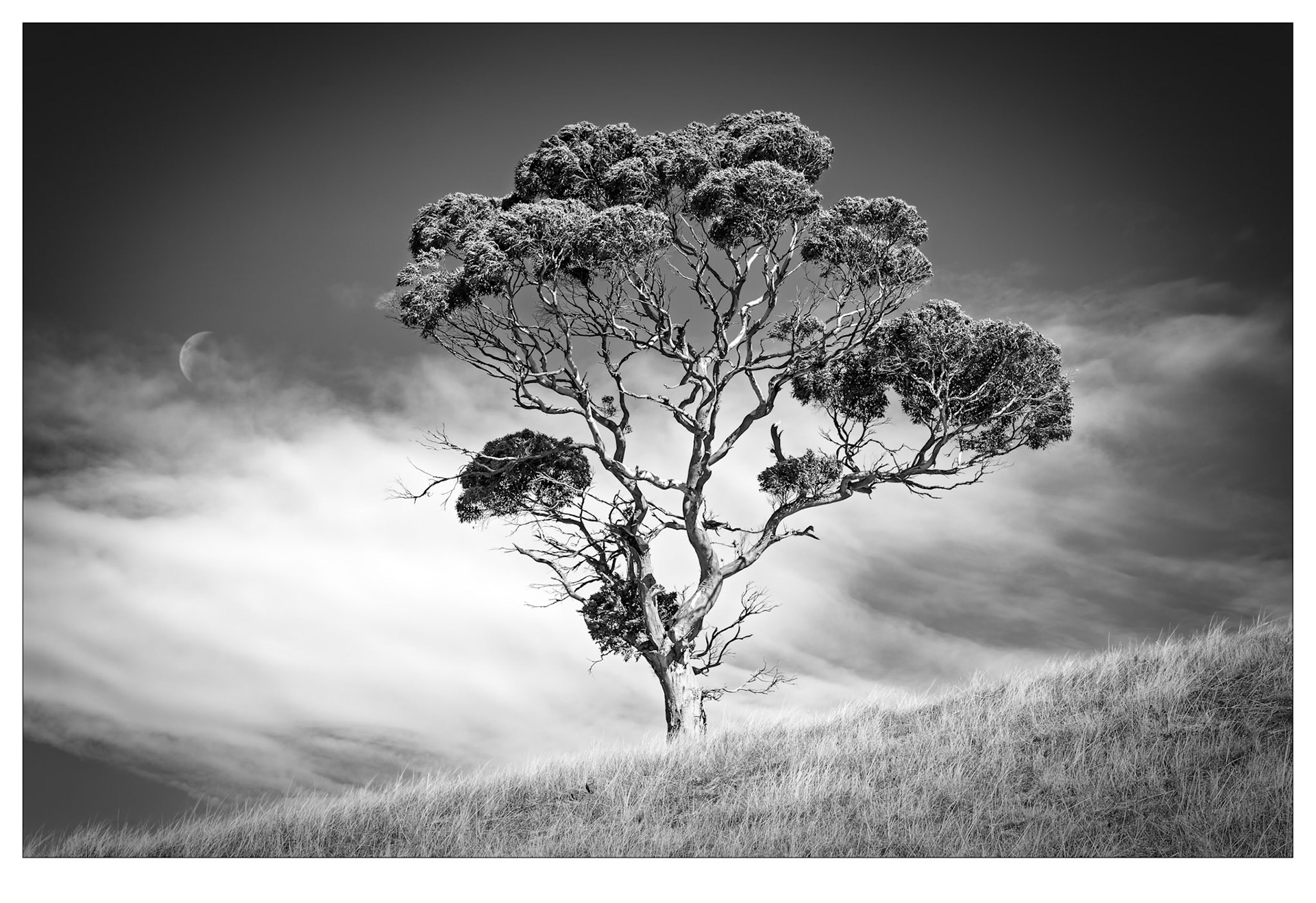 Snellings Moonrise - Kangaroo Island, South Australia