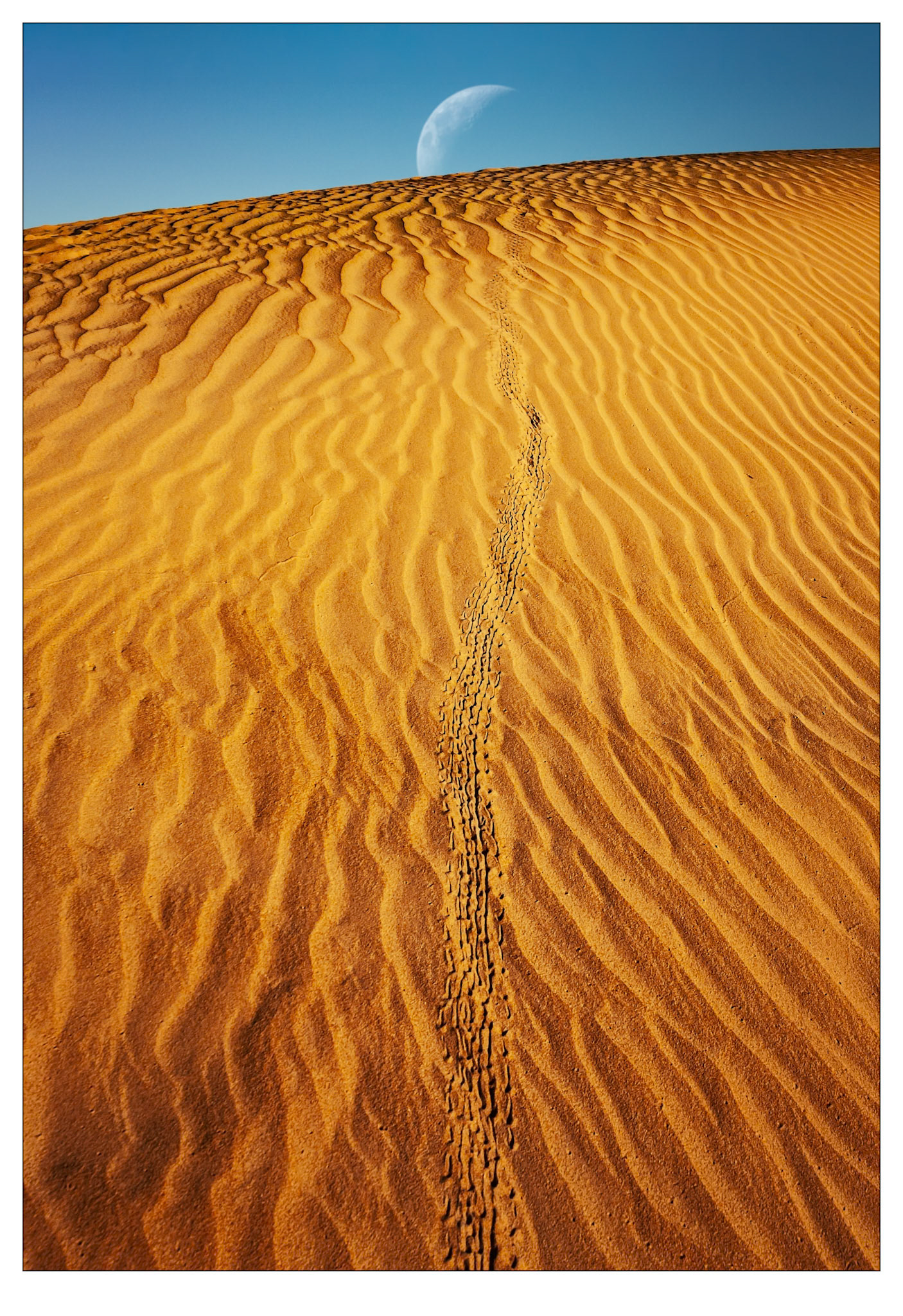 Dunescape Moonrise - Ningaloo, Western Australia