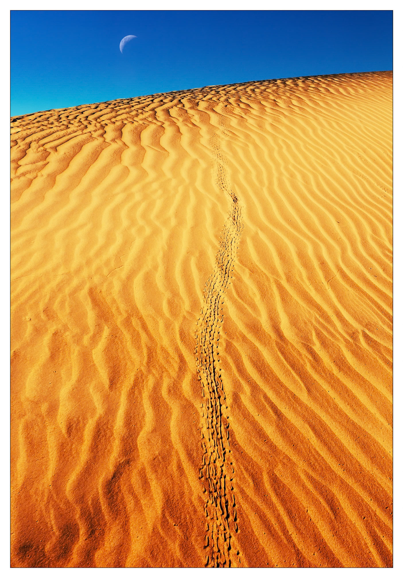 Making Tracks - Ningaloo, Western Australia