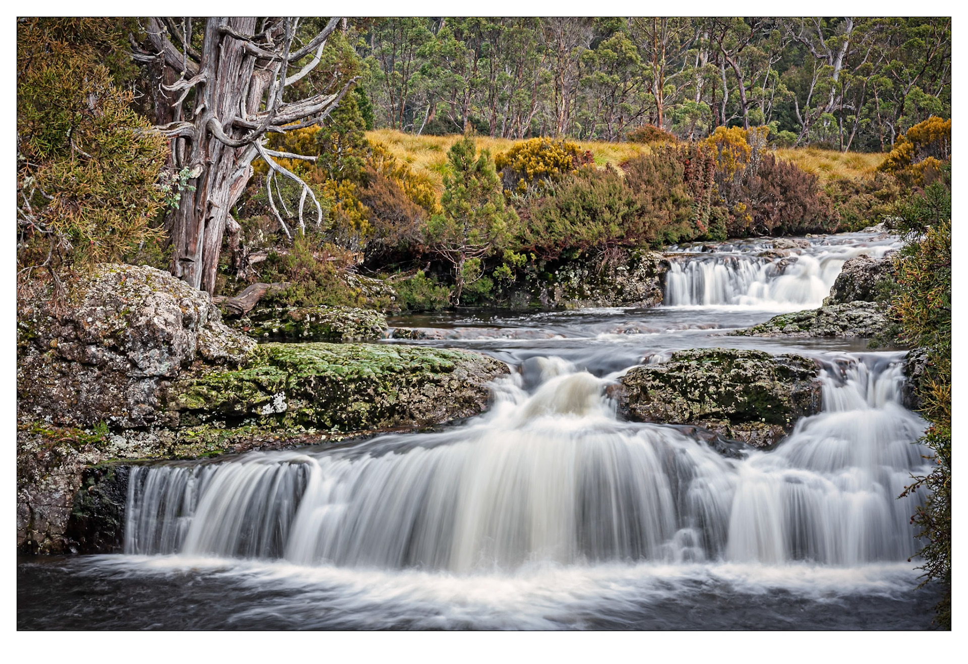 After the Rain - Cradle Mountain, Tasmania
