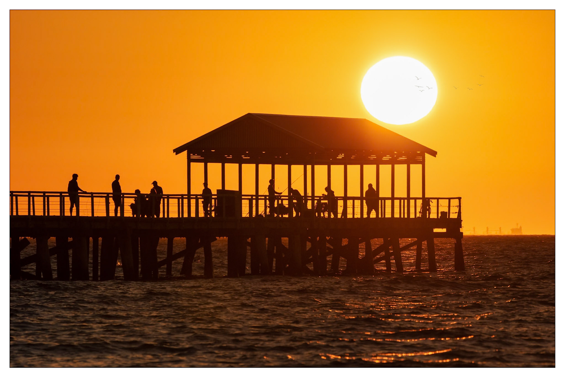 Summer Daze - Largs Bay, South Australia