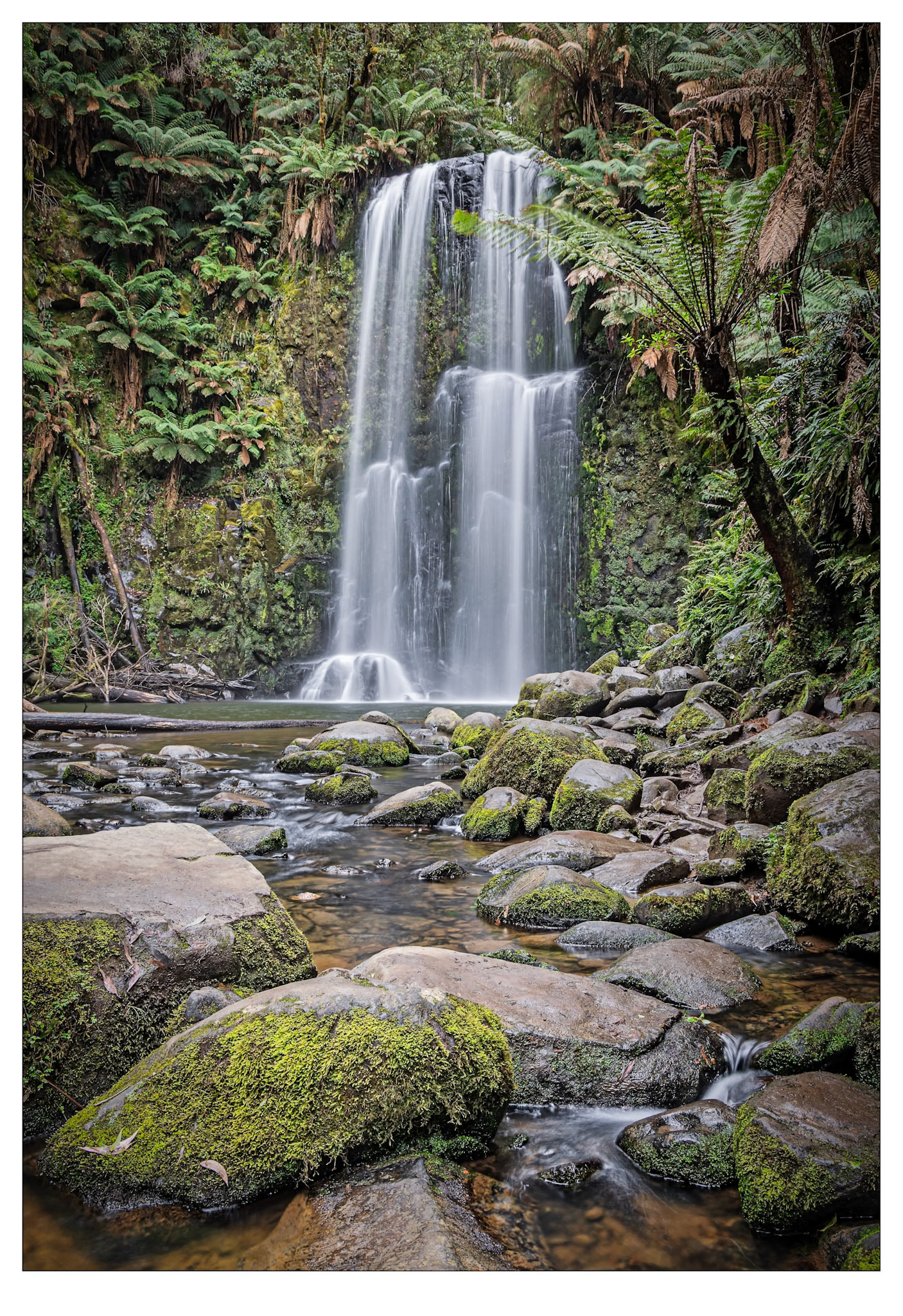 Recharge Your Batteries - Beauchamp Falls, Victoria