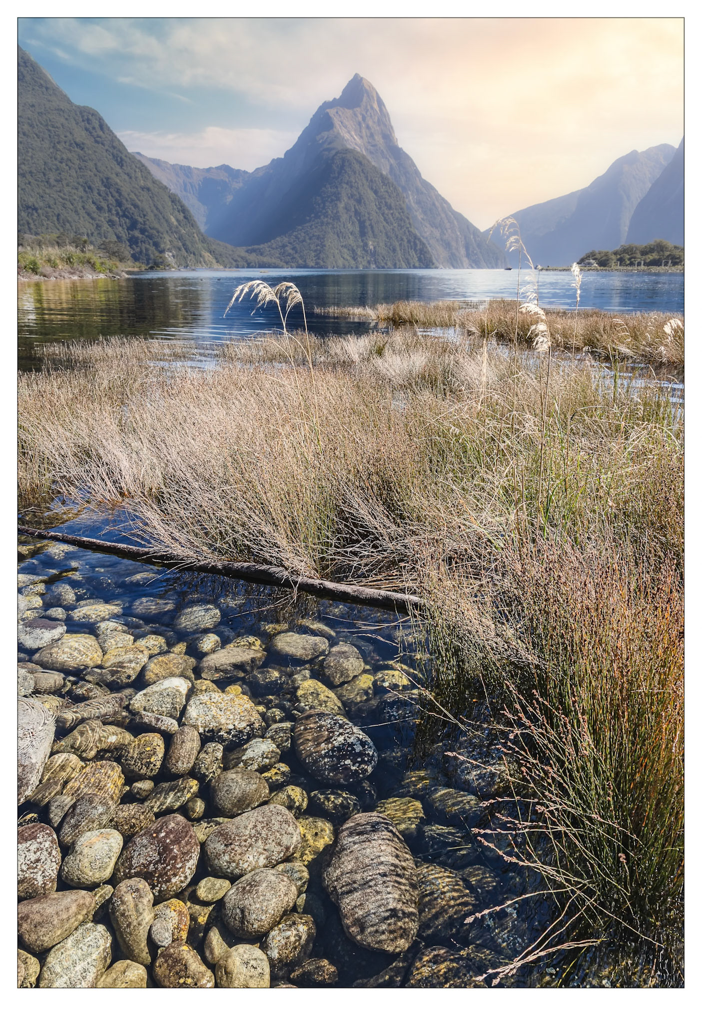 Milford Magic - Milford Sound, New Zealand