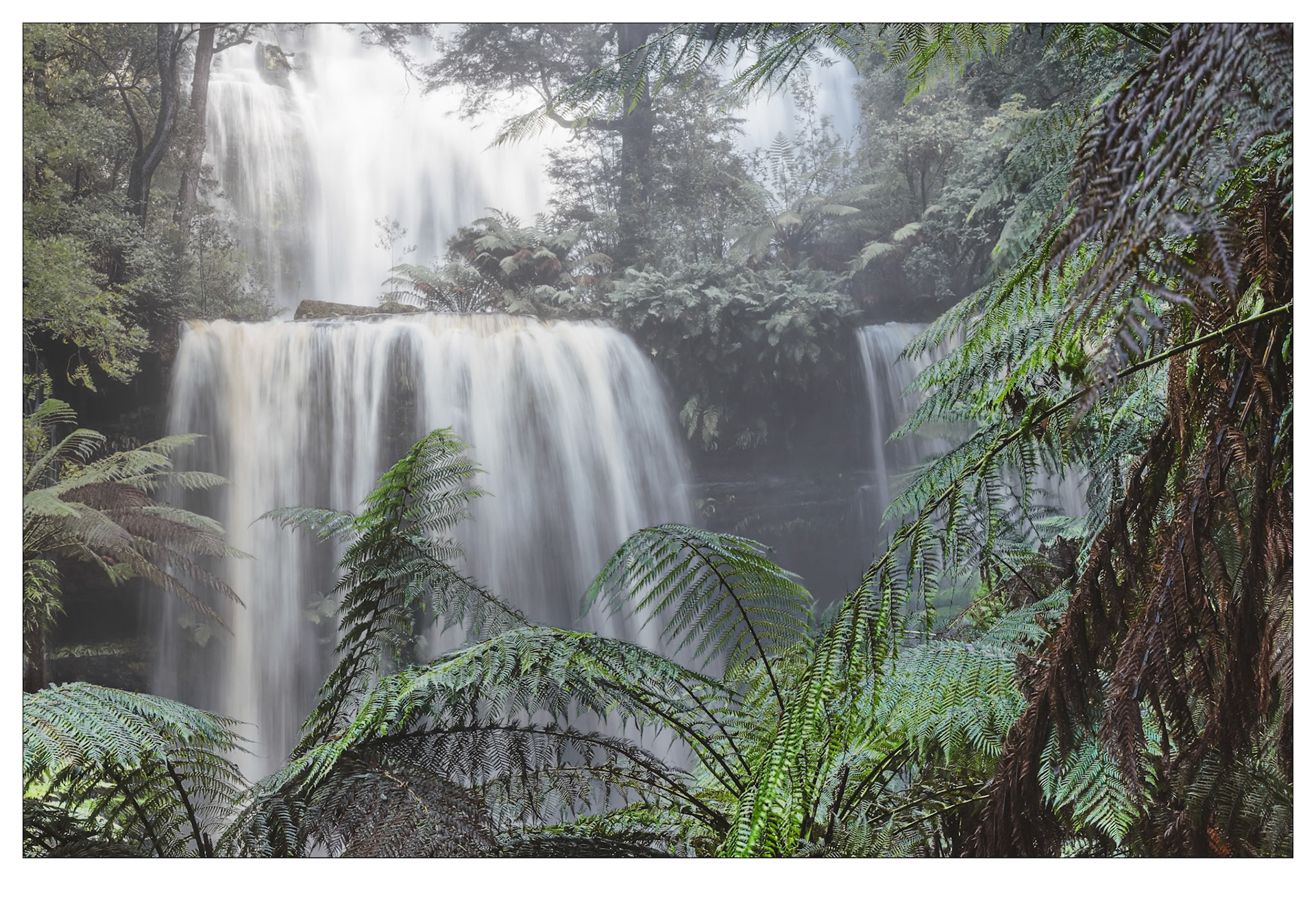 Into the Mist - Russell Falls, Mount Field, Tasmania